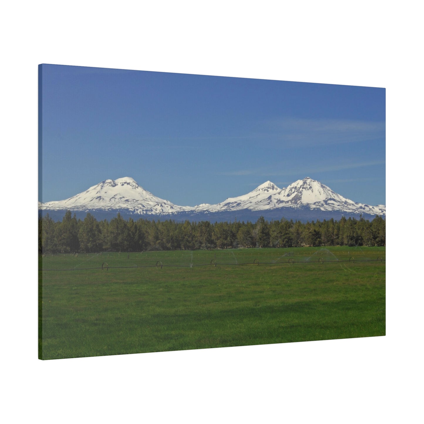 Mountain Field Matte Canvas