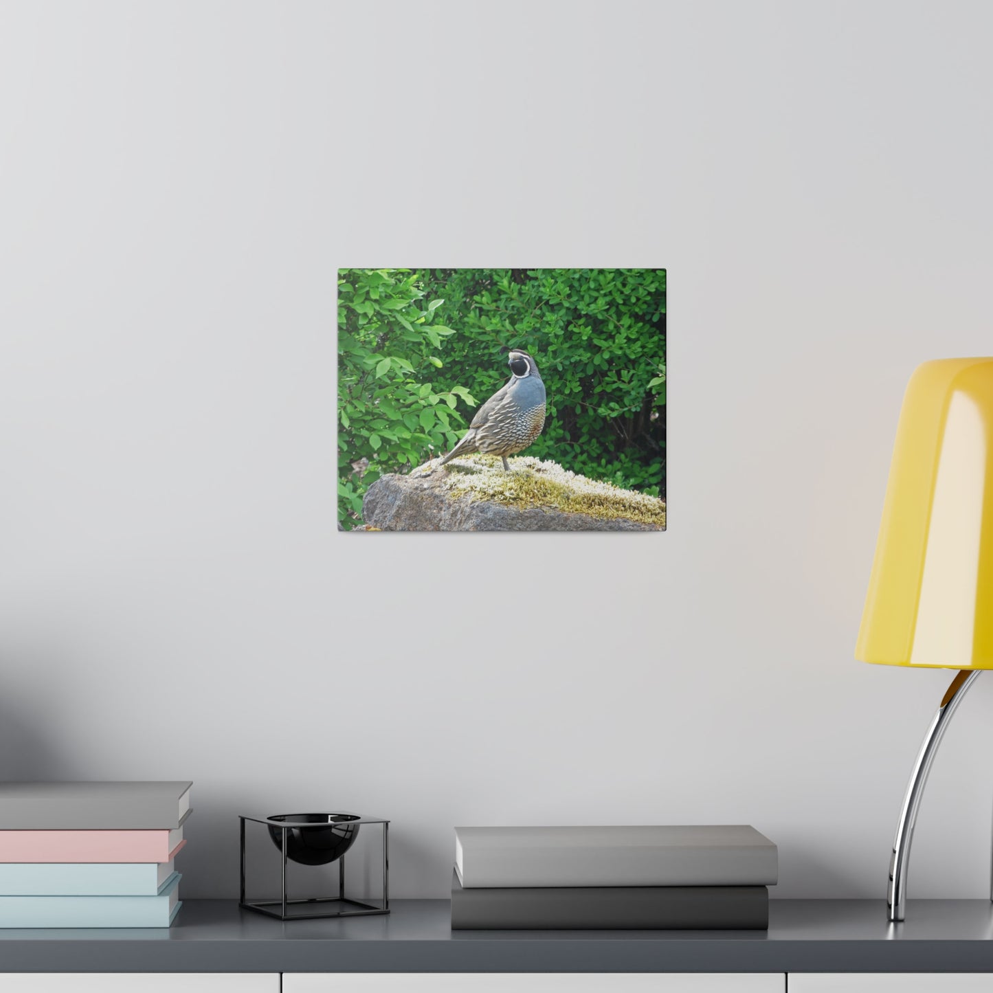 Regal Quail Matte Canvas