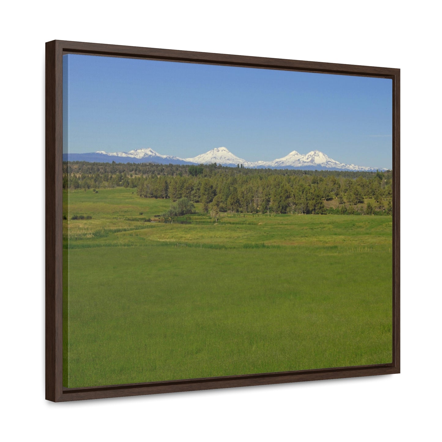 Mountain Meadow Gallery Canvas Wraps Framed