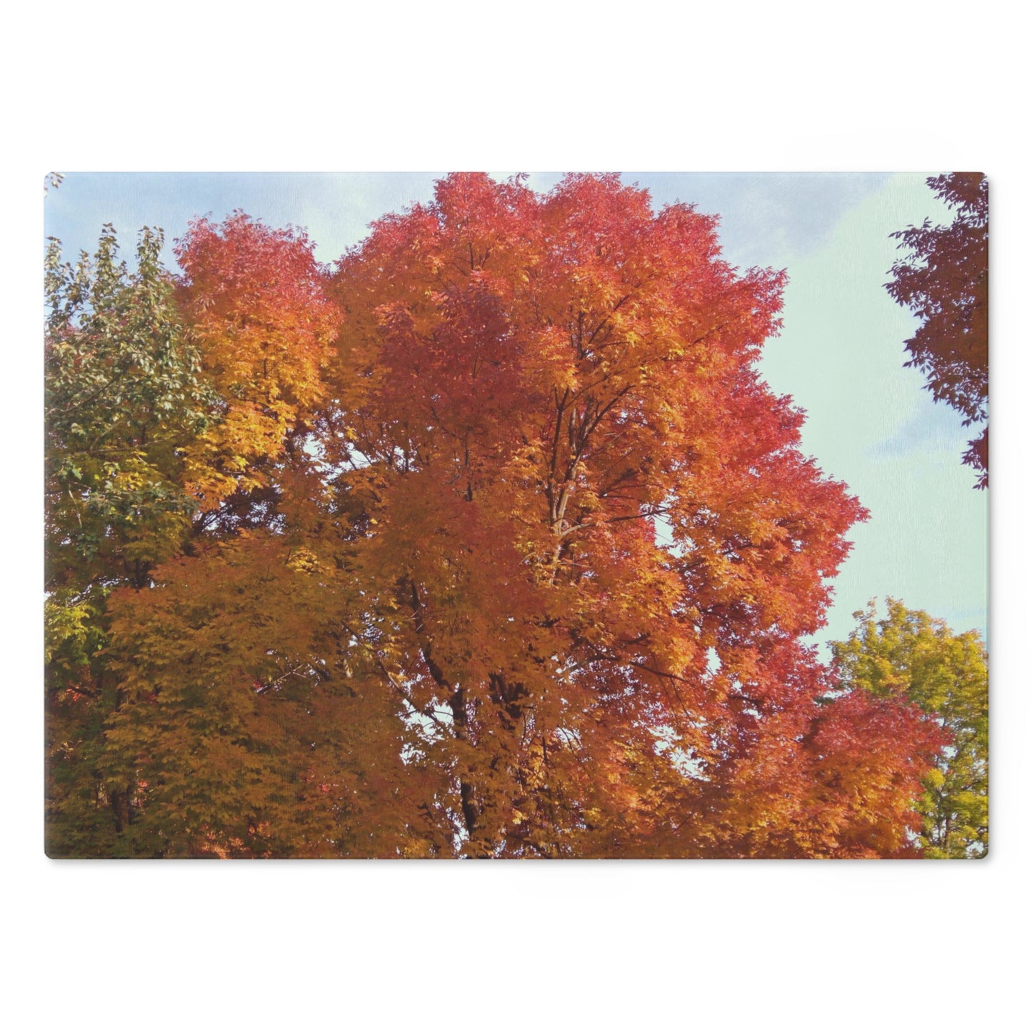 Autumn Radiance Cutting Board Dishwasher Safe