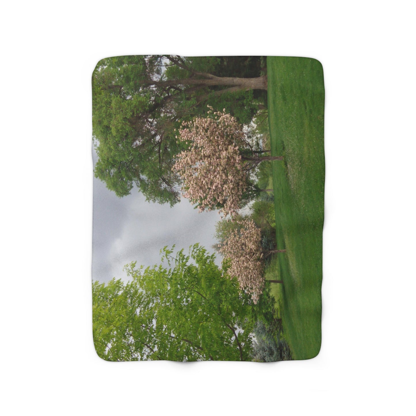 Spring In The Air Sherpa Fleece Blanket