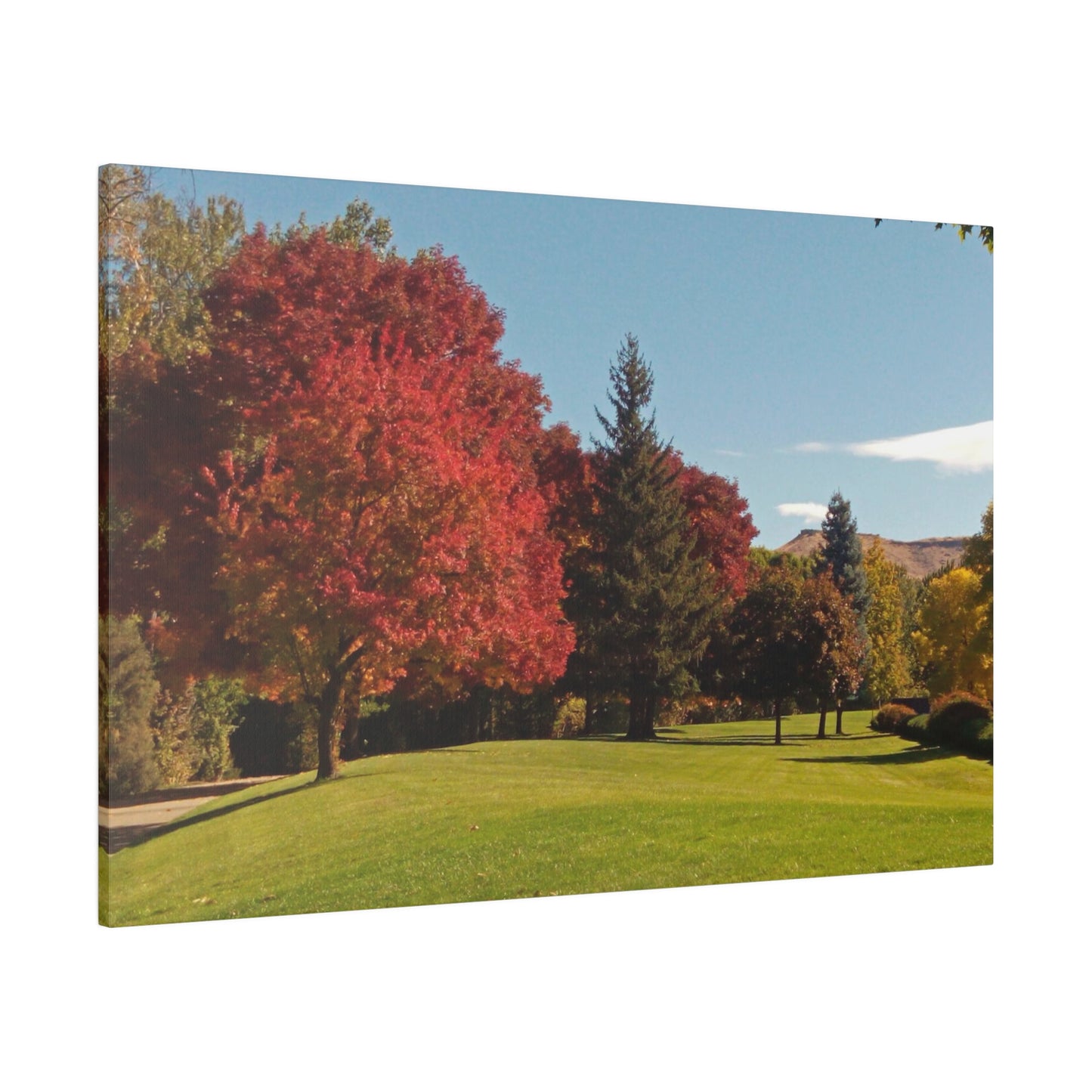 Autumn Lawn Matte Canvas