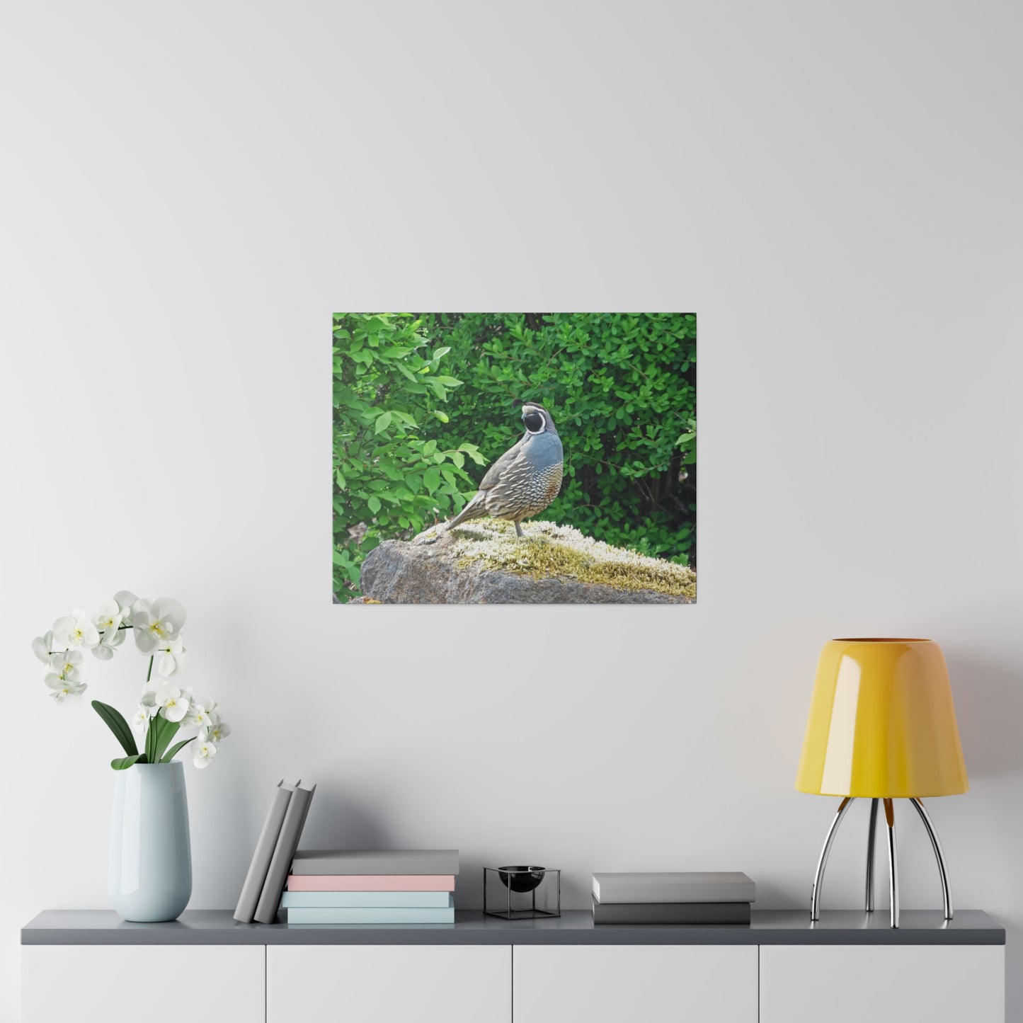 Regal Quail Matte Canvas