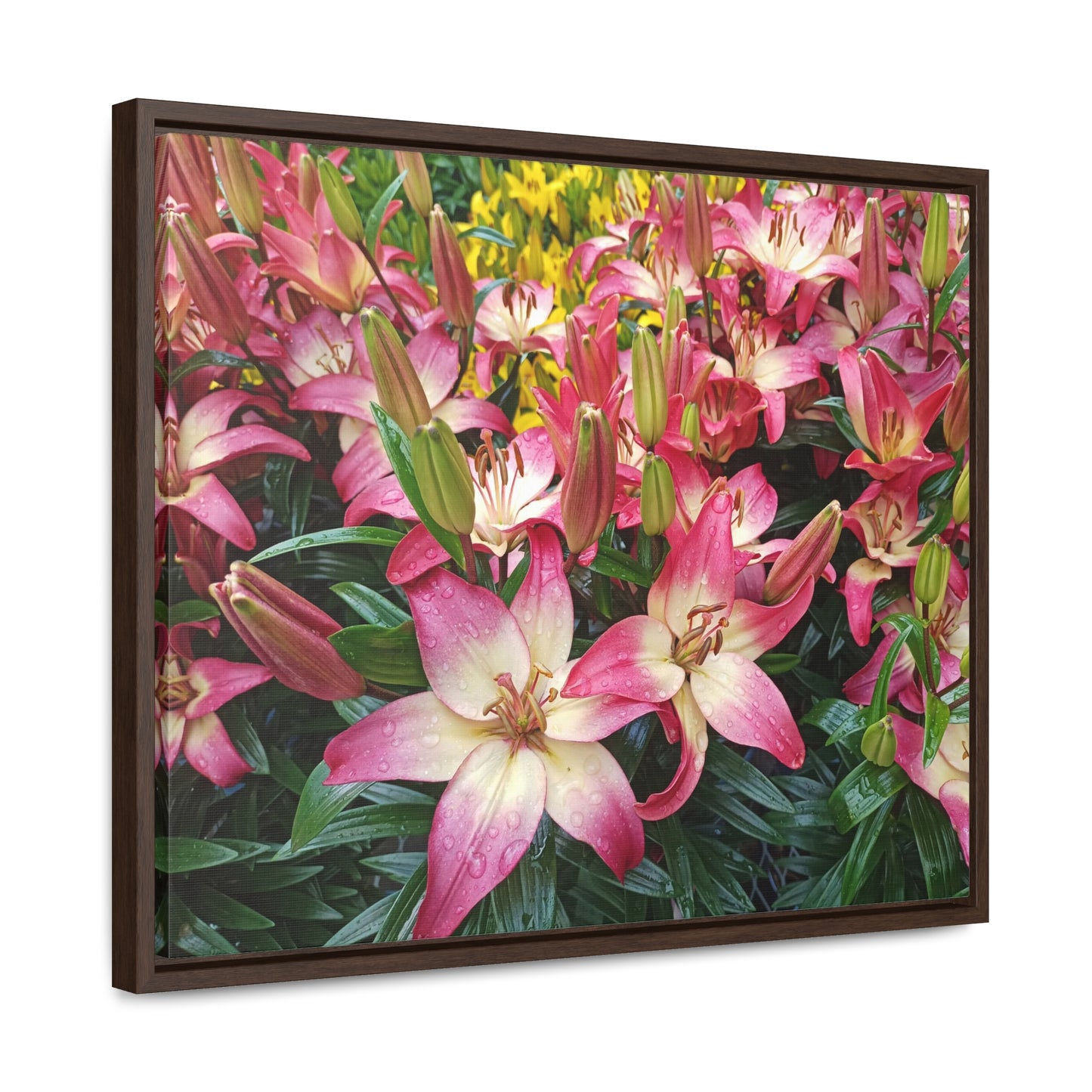 Lovely Lilies Gallery Canvas Wraps Framed