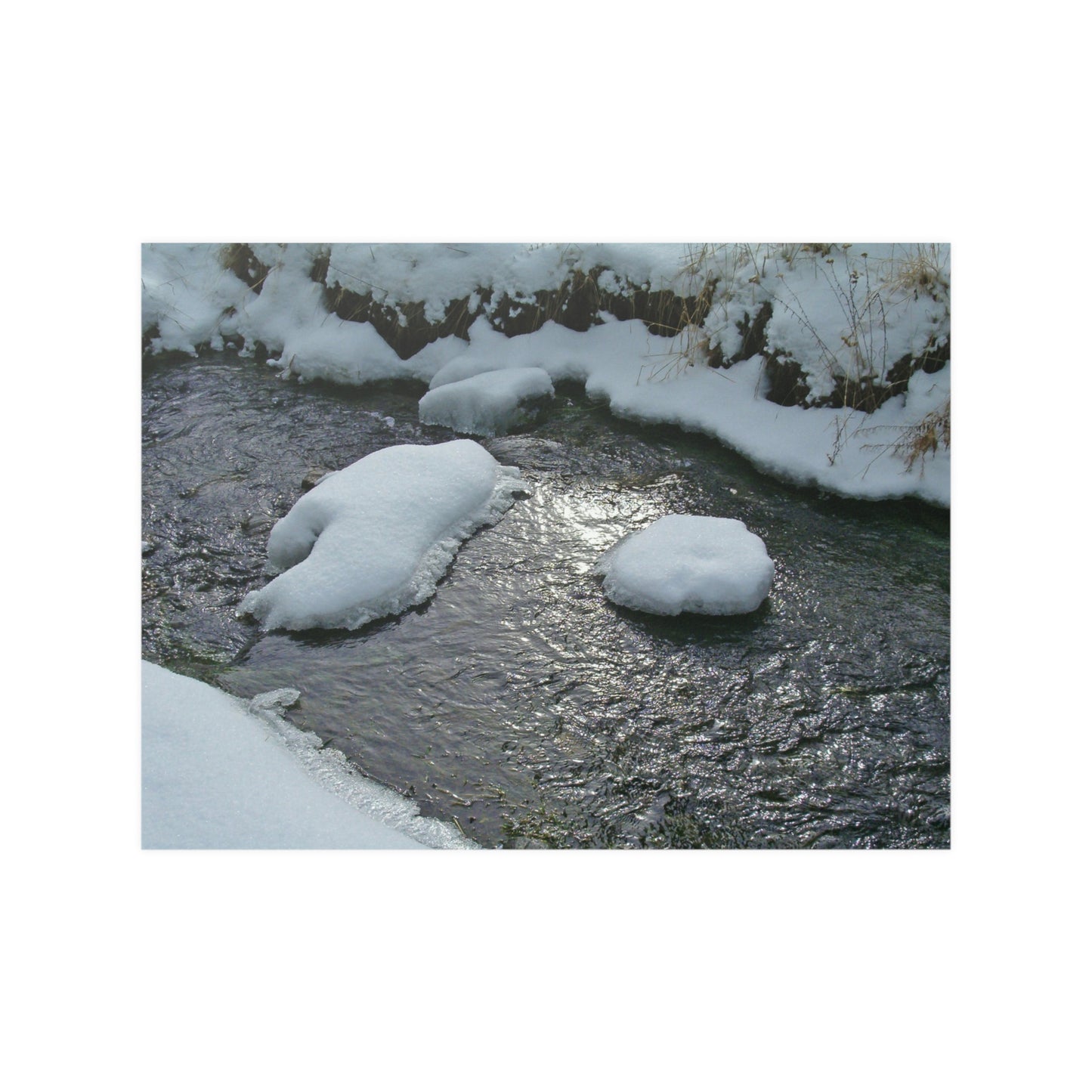 Winter Reflection Satin Posters