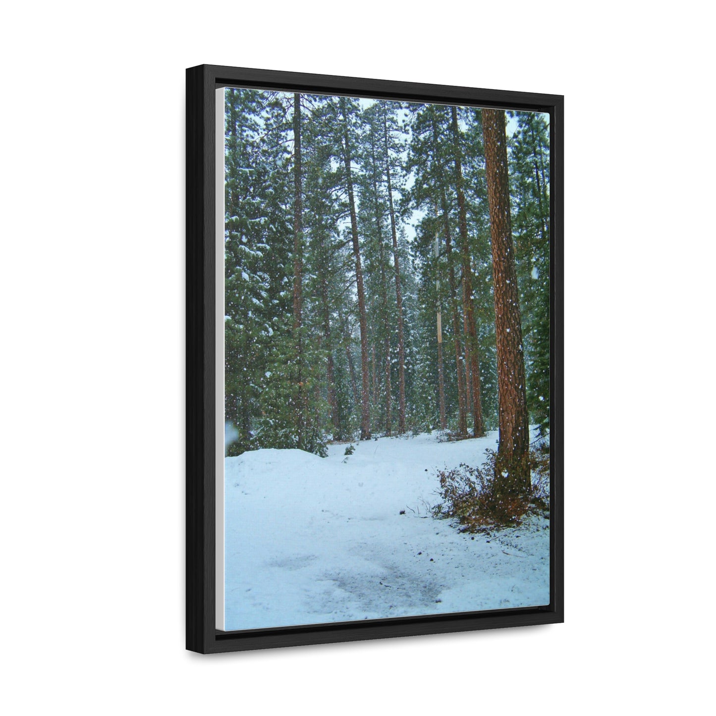 Snowfall Gallery Canvas Wraps Framed