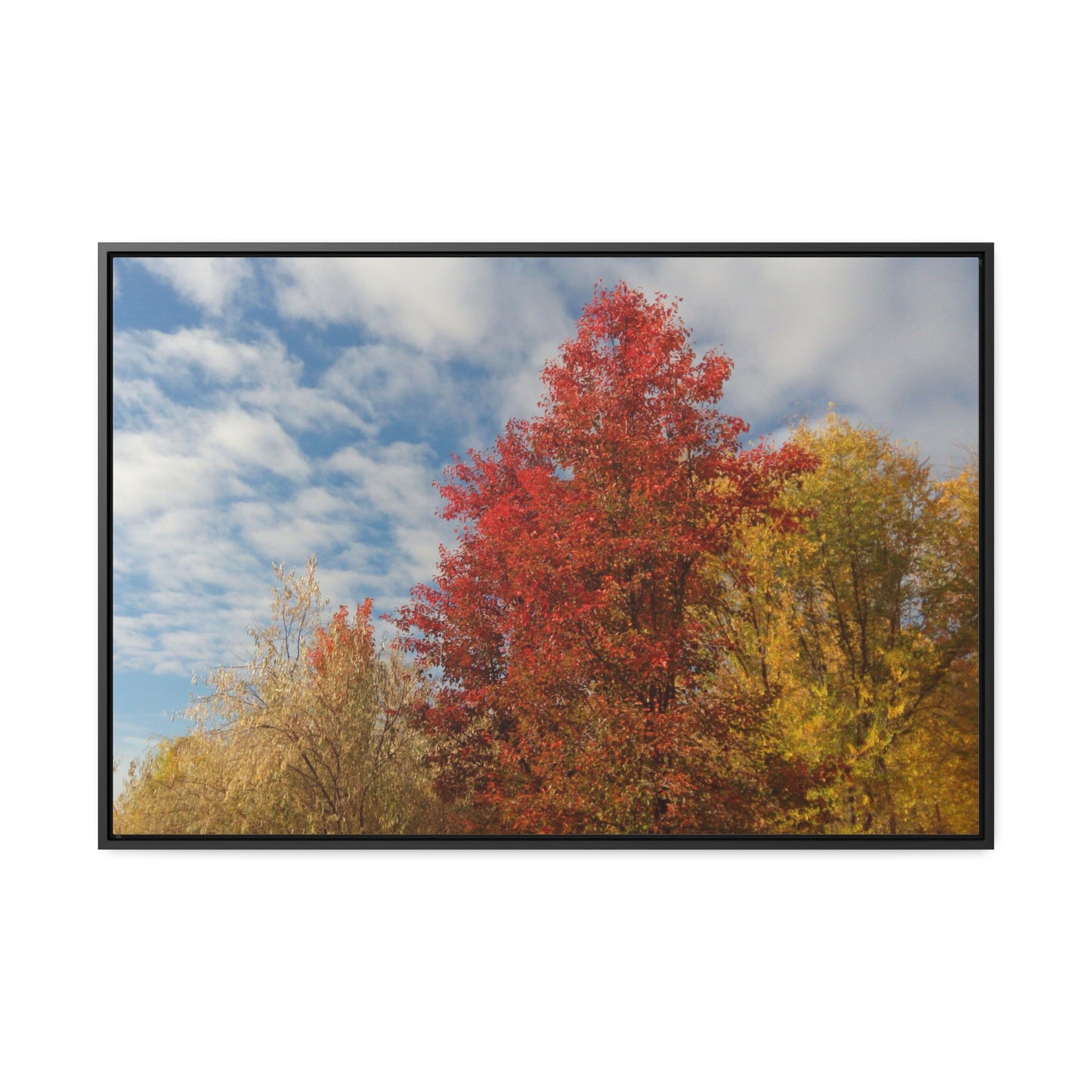Autumn Sky Gallery Canvas Wraps Framed