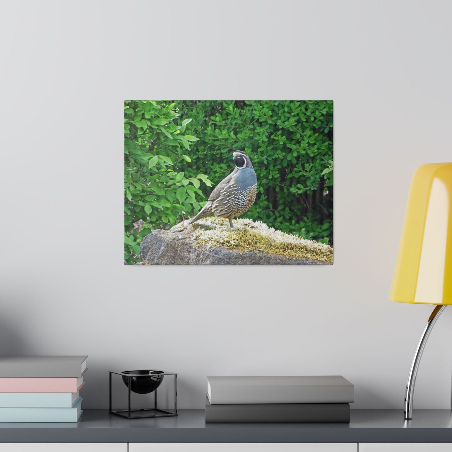 Regal Quail Matte Canvas