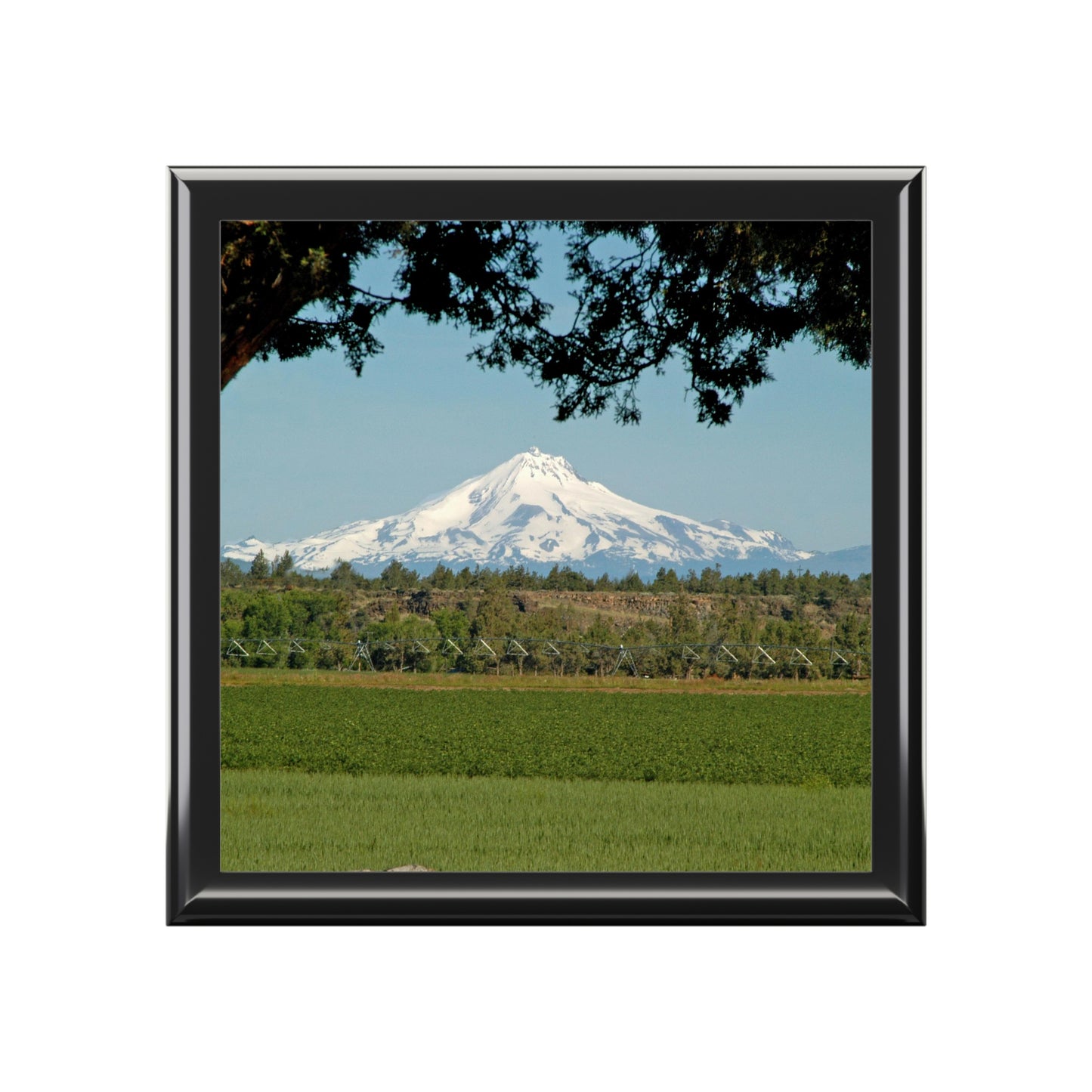 Juniper Framed Mountain Jewelry Box ~ 7.24"