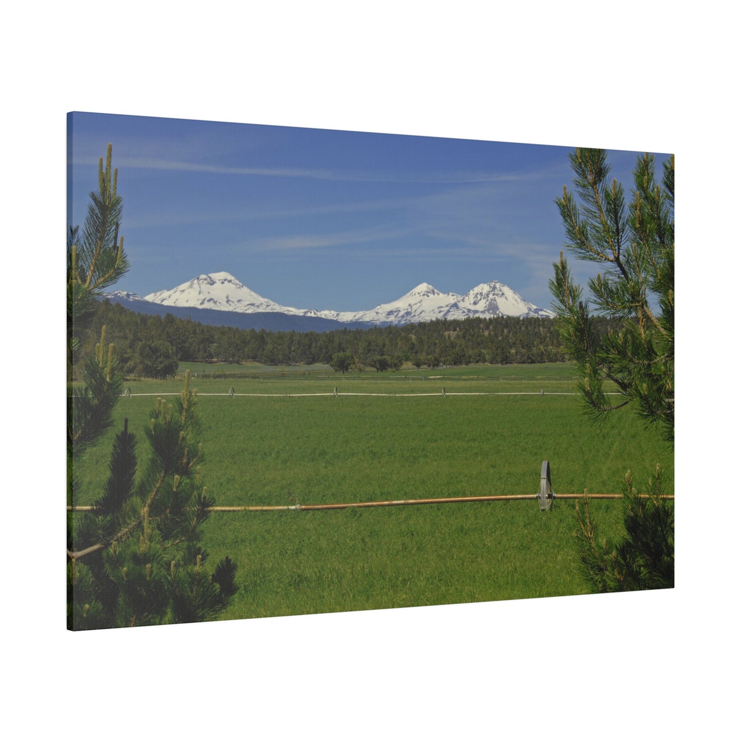 Mountain Pasture Matte Canvas