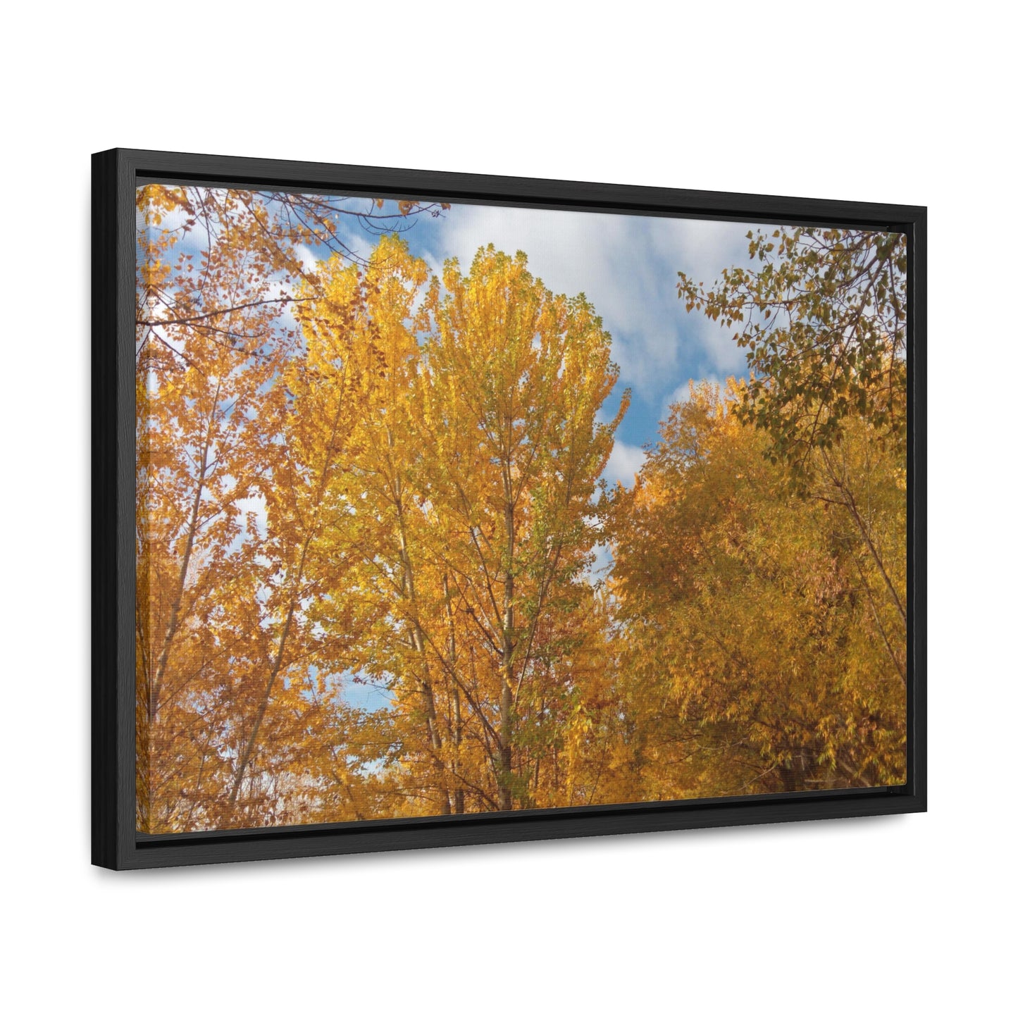 Autumn Gold Gallery Canvas Wraps Framed