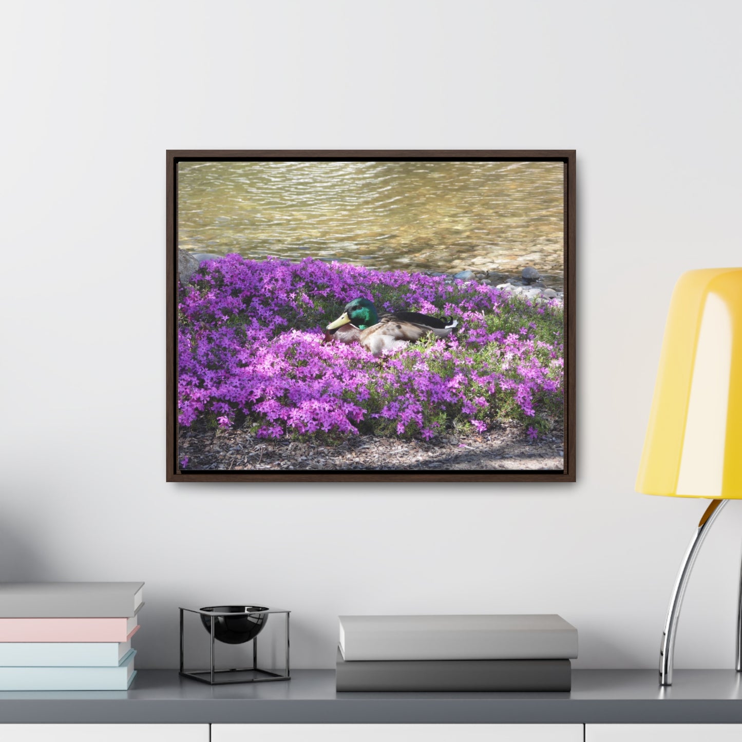 Duck Resting In Flowers Gallery Canvas Wraps Framed