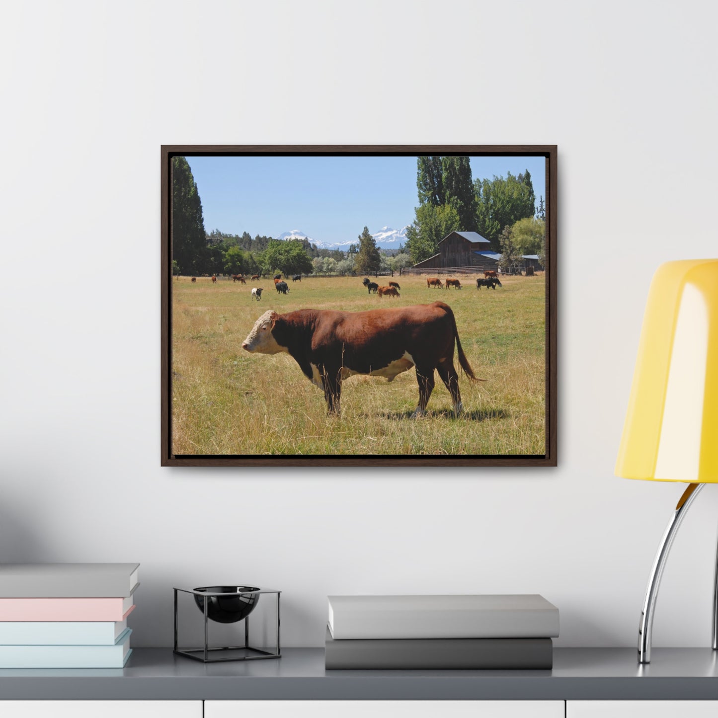 King Of The Pasture Gallery Canvas Wraps Framed