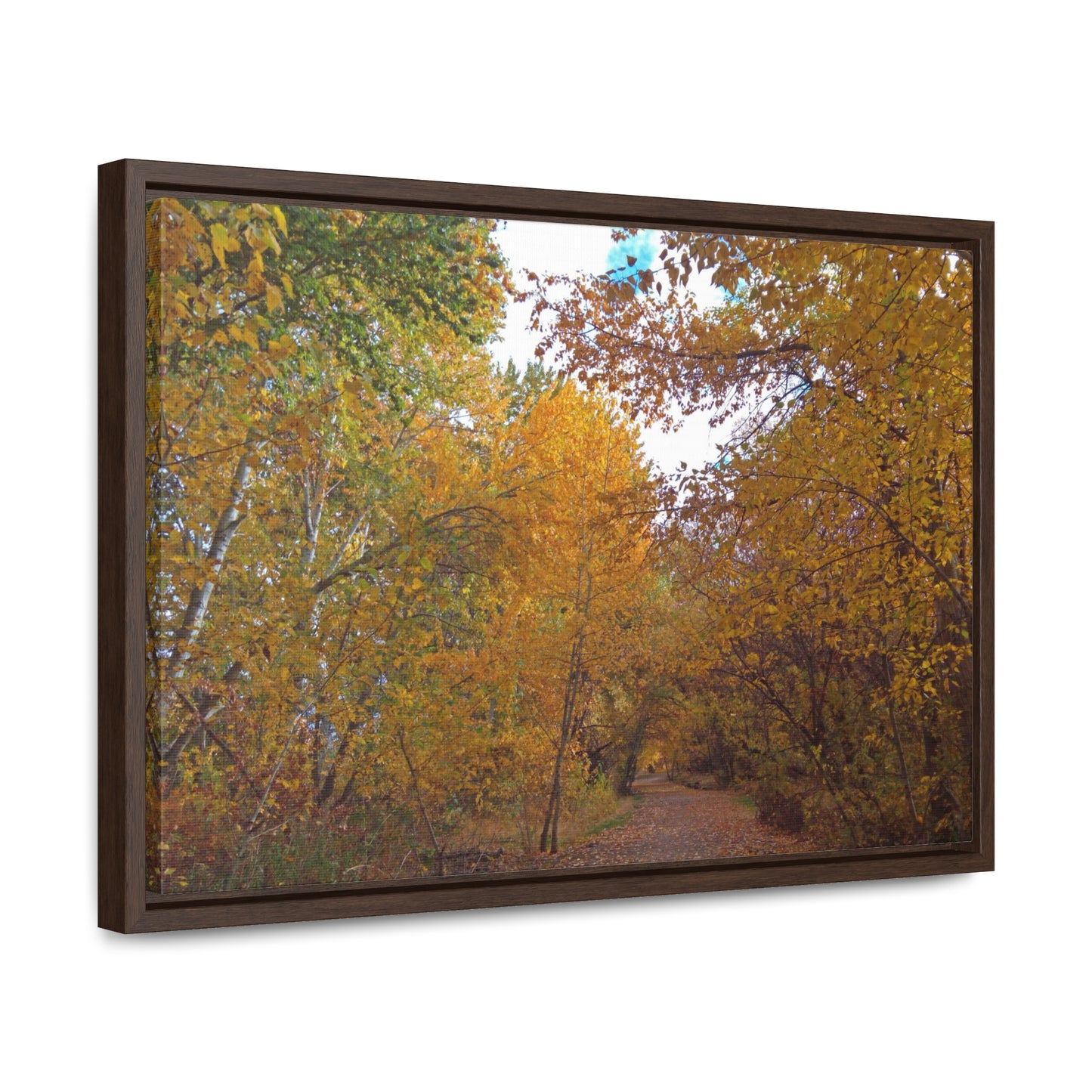 Autumn Lane Gallery Canvas Wraps Framed
