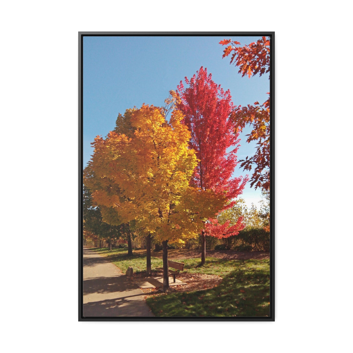 Autumn Bench Gallery Canvas Wraps Framed