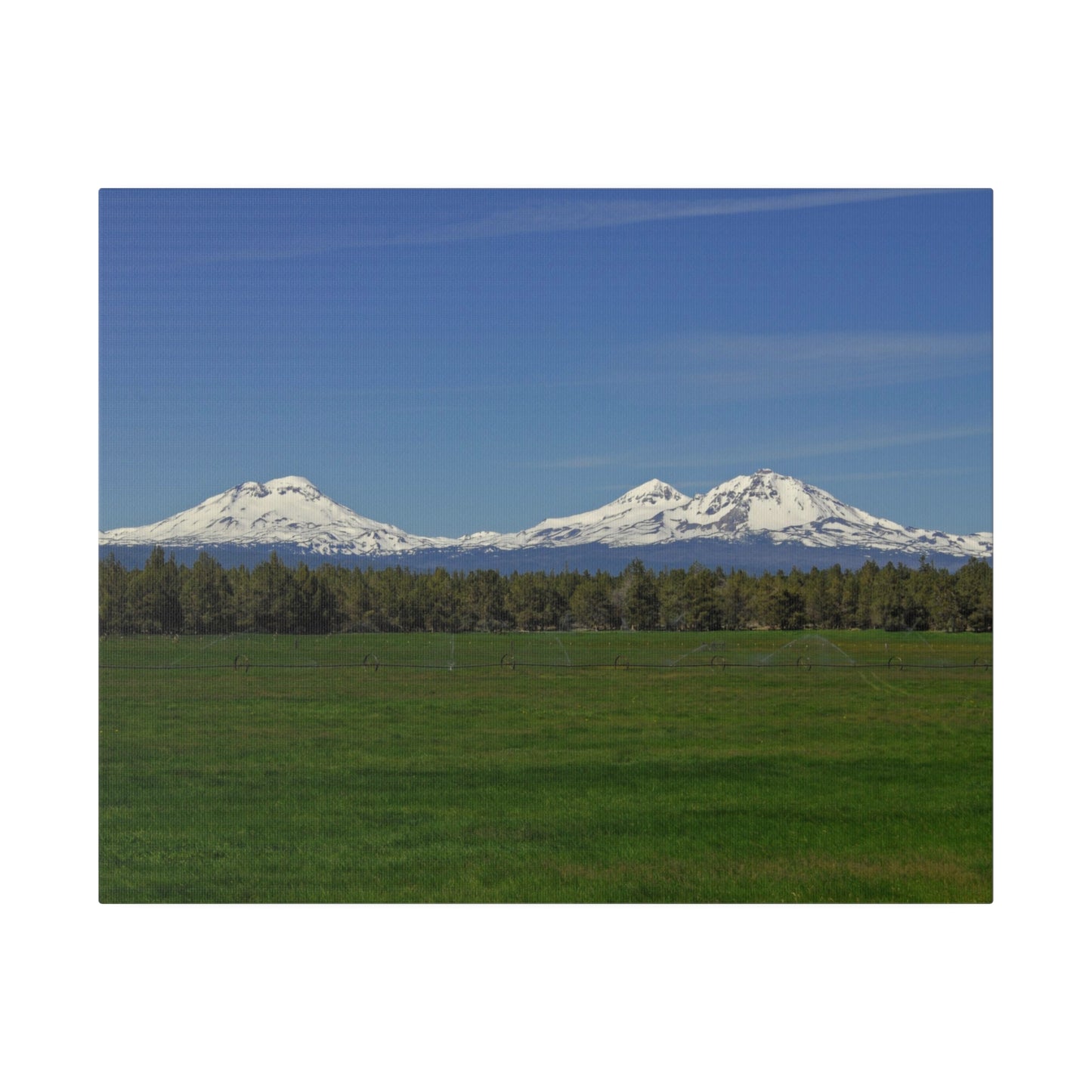 Mountain Field Matte Canvas