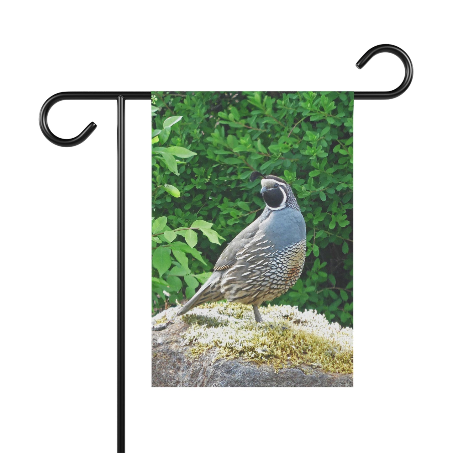 Regal Quail Garden & House Banner