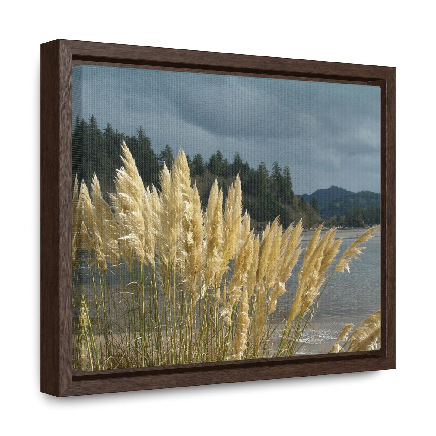 Golden Coastal Pampas Gallery Canvas Wraps Framed