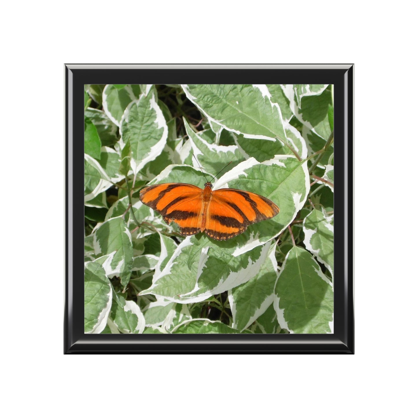 Leaves & Butterfly Jewelry Box ~ 7.24"