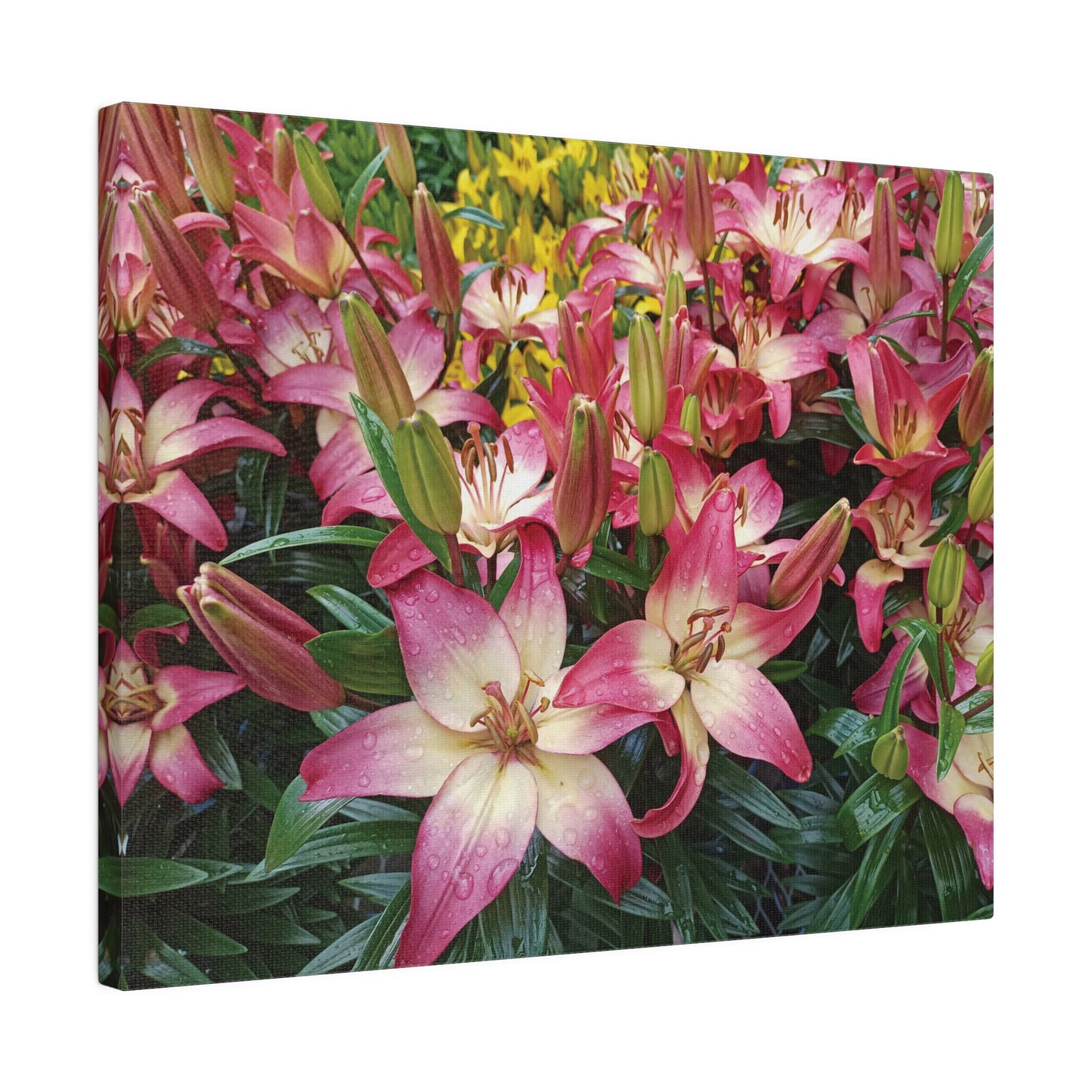 Lovely Lilies Matte Canvas