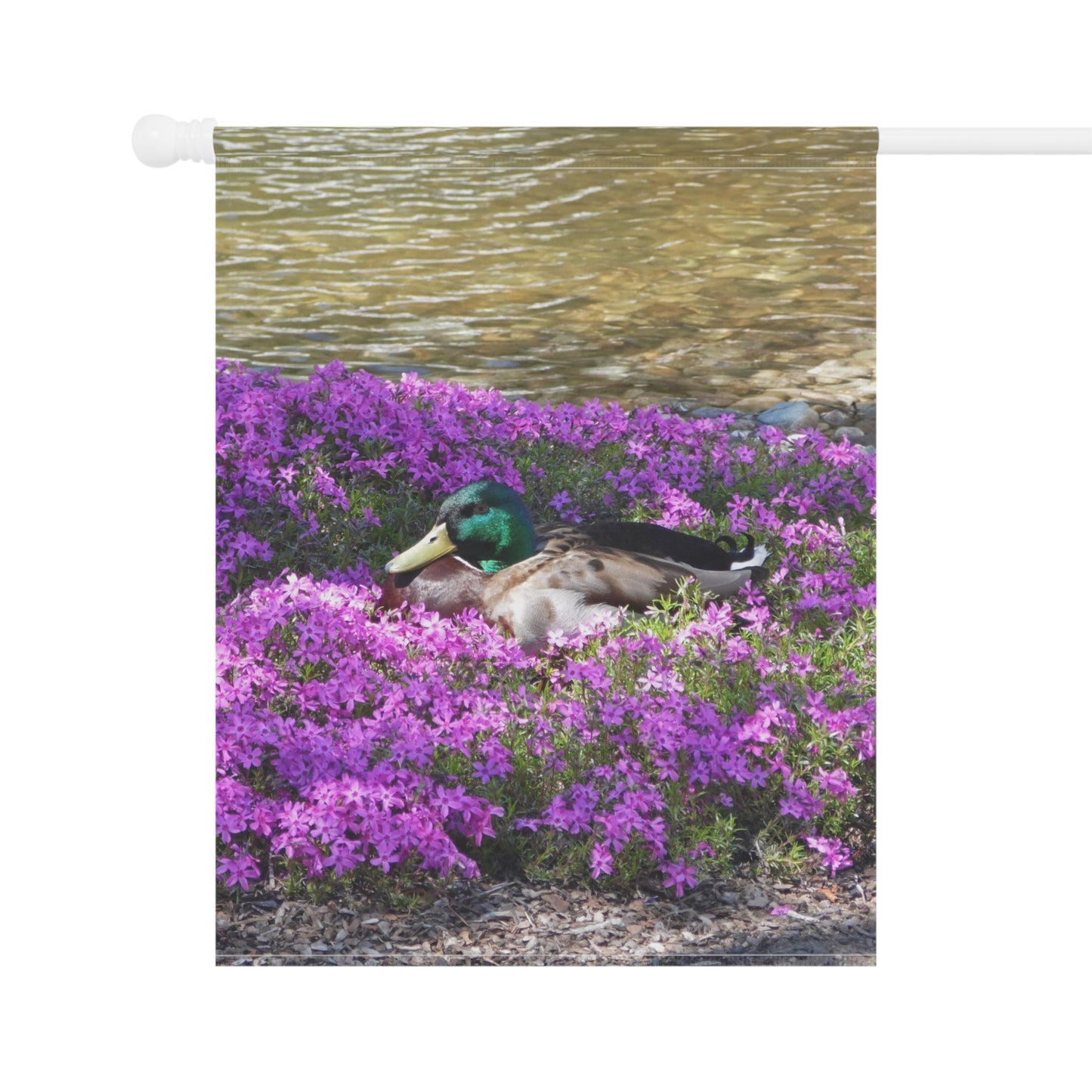 Duck Resting In Flowers Garden & House Banner