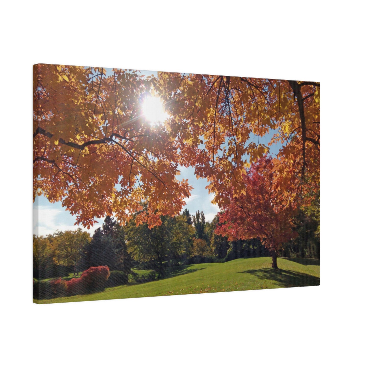 Autumn Light Matte Canvas