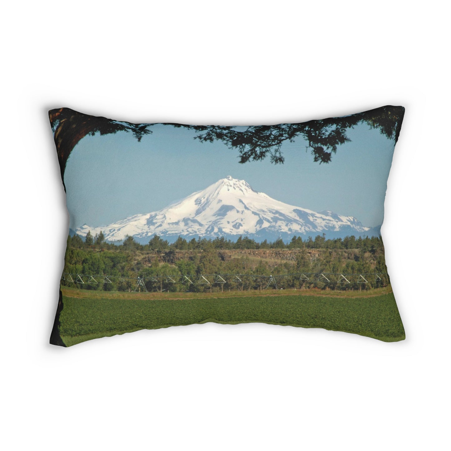 Juniper Framed Mountain Spun Polyester Lumbar Pillow