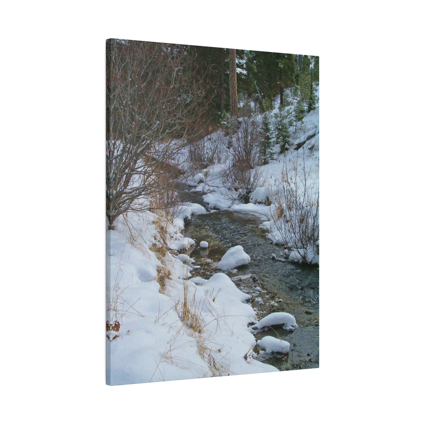 Snowy Creek Matte Canvas