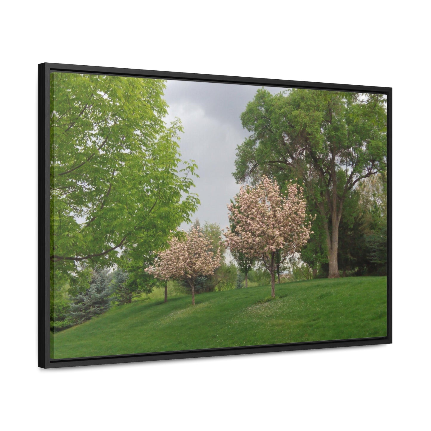 Spring In The Air Gallery Canvas Wraps Framed