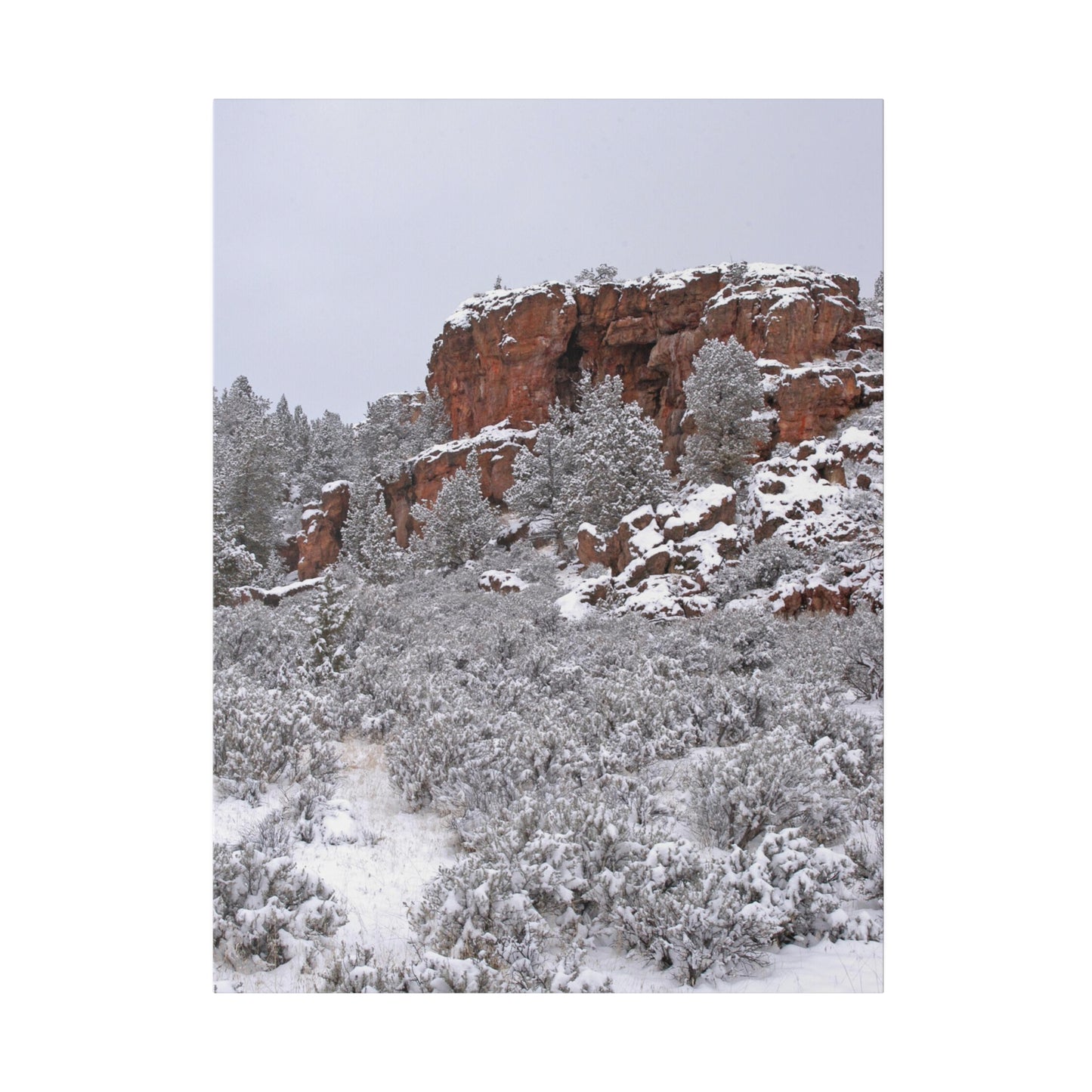 Winter Cliff Matte Canvas