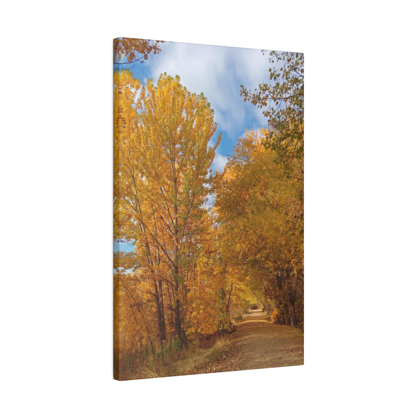 Autumn Trail Matte Canvas