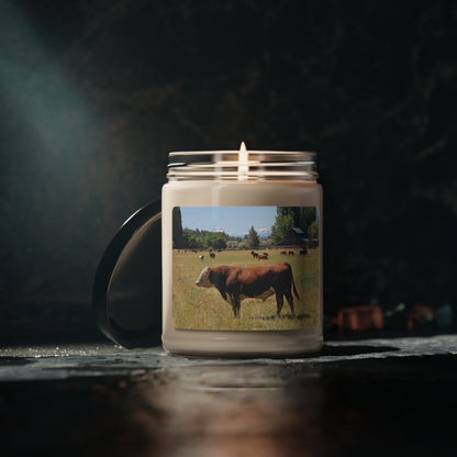 King Of The Pasture Scented Soy Candle, 9oz