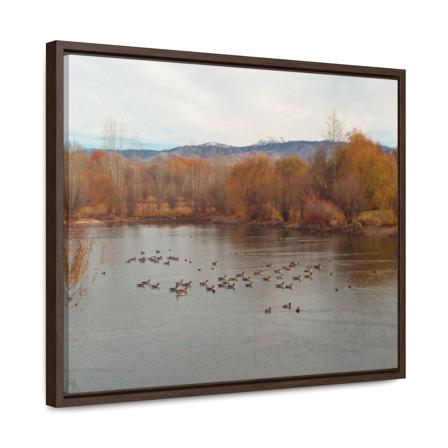 Autumn Pond with Geese Gallery Canvas Wraps Framed