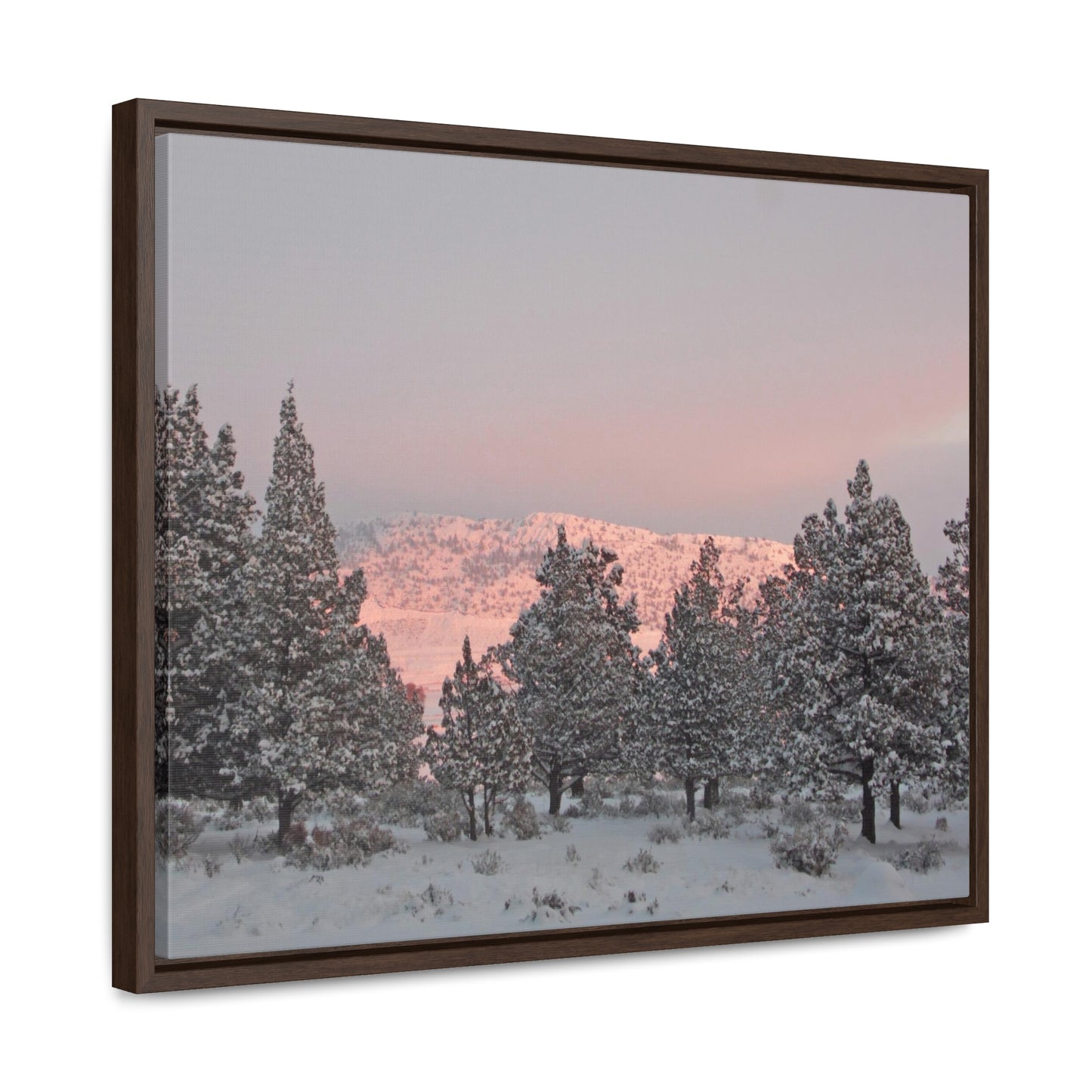 Winter Sunset Gallery Canvas Wraps Framed