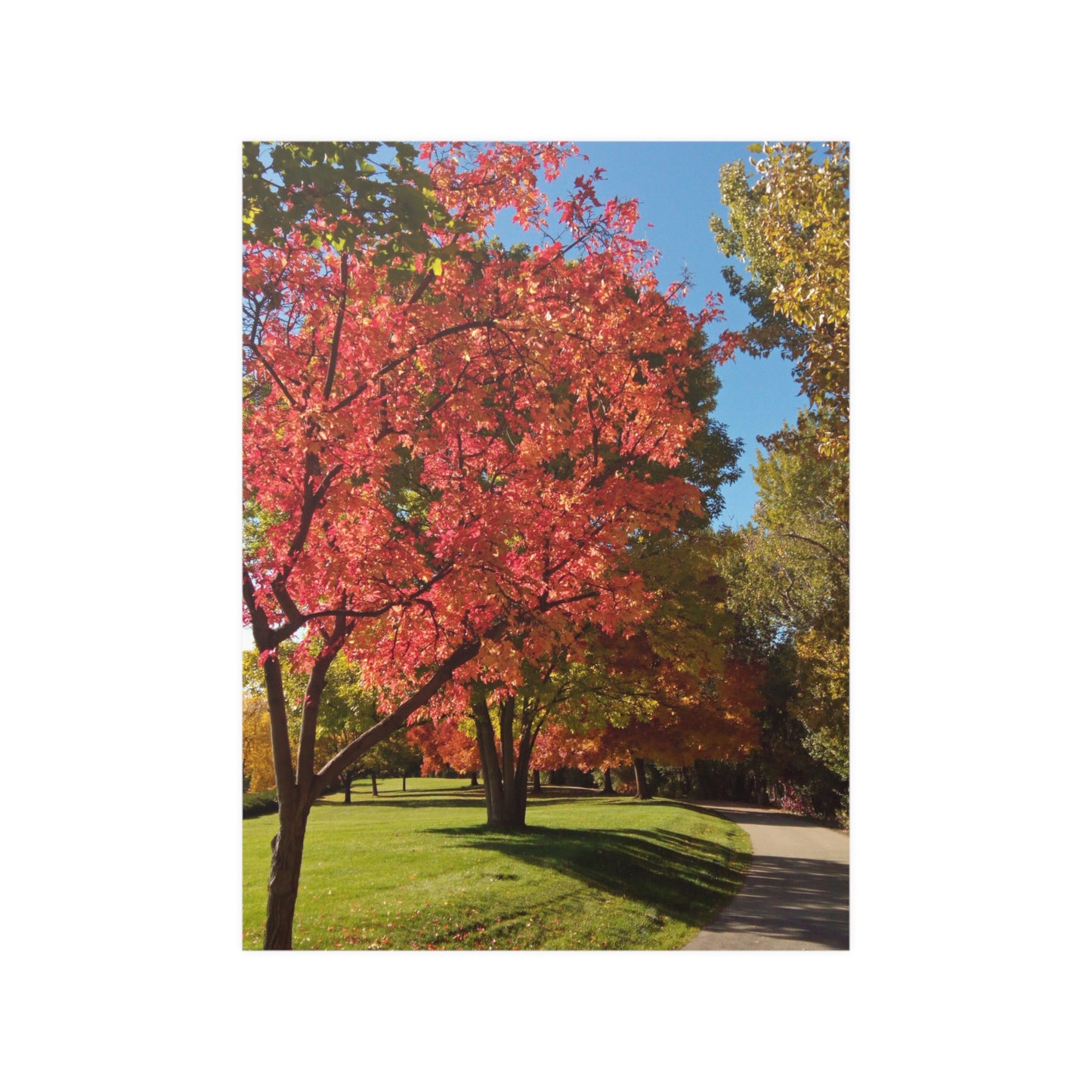 Autumn Glow Satin Posters