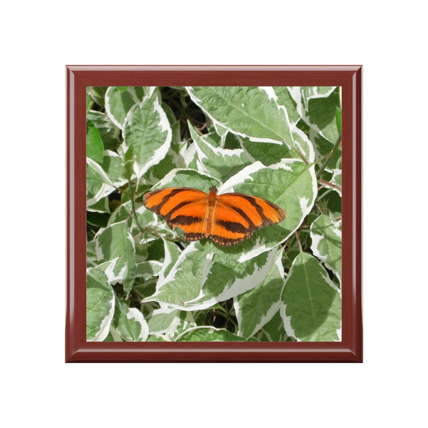 Leaves & Butterfly Jewelry Box ~ 7.24"