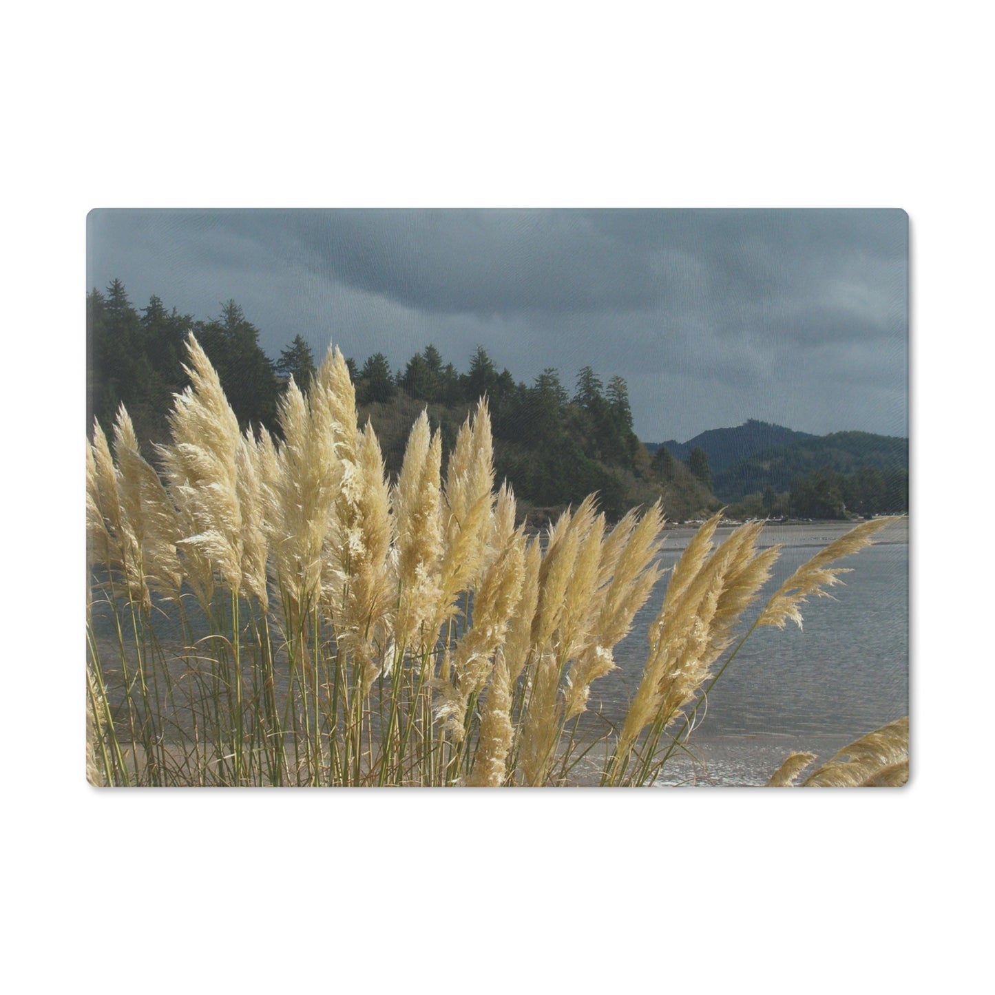 Golden Coastal Pampas Cutting Board Dishwasher Safe