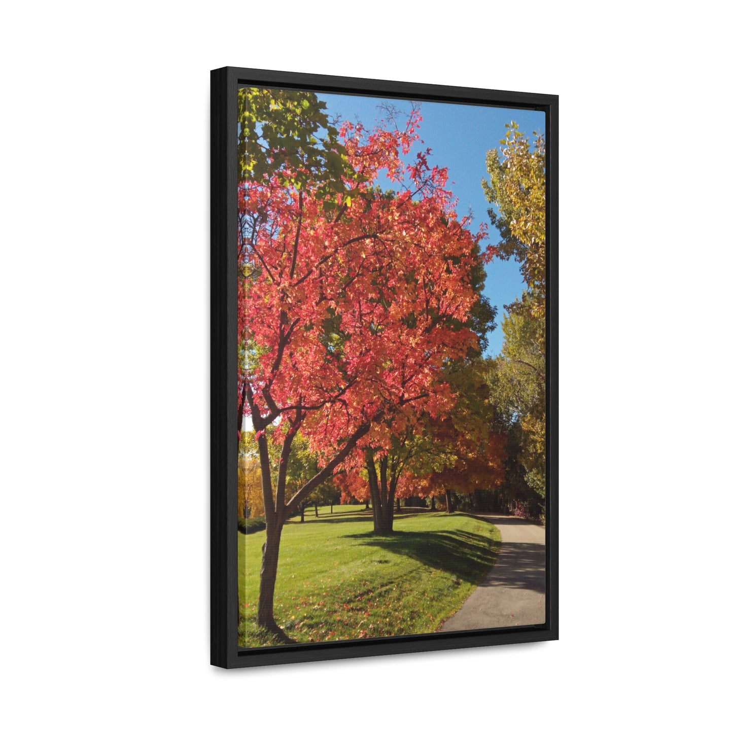 Autumn Glow Gallery Canvas Wraps Framed