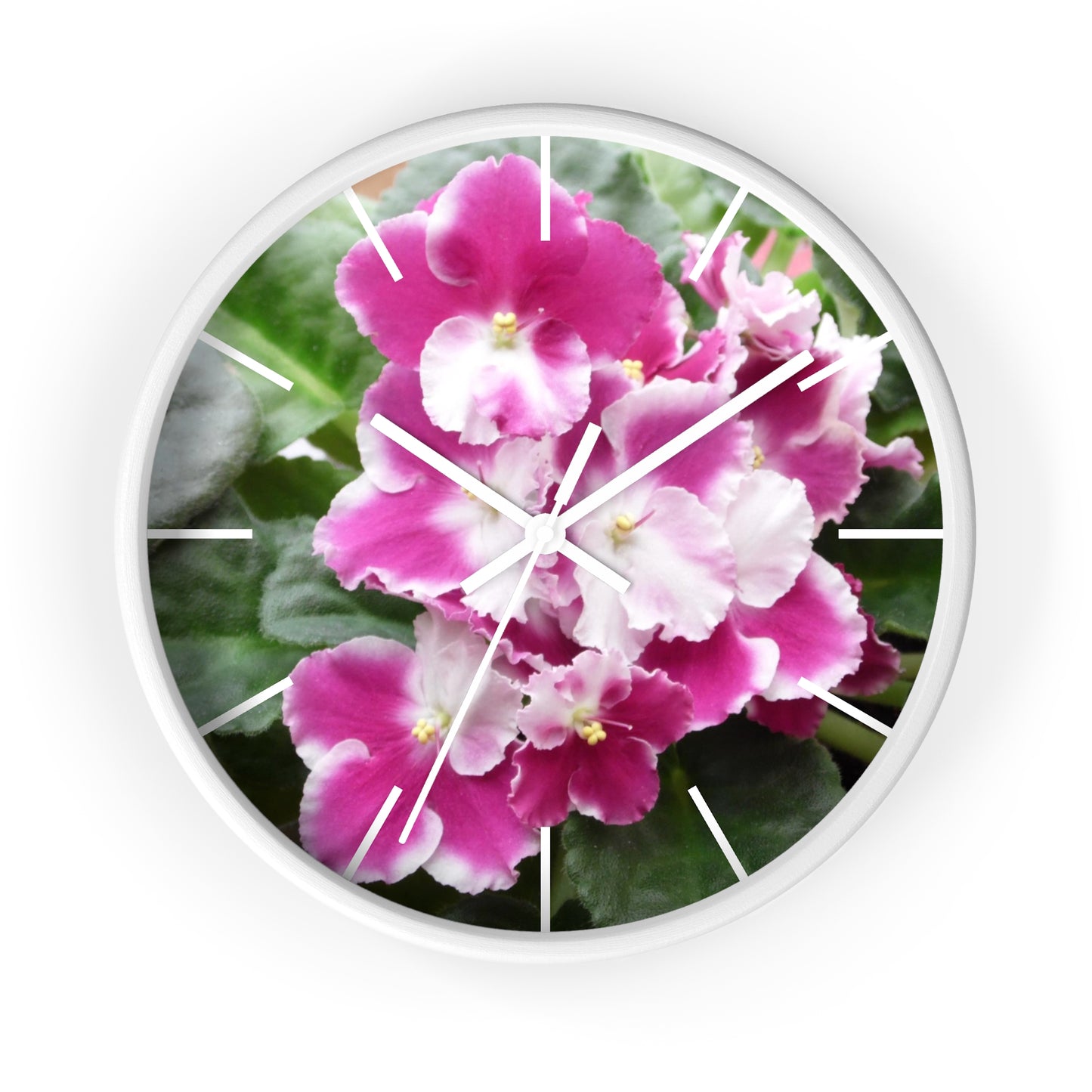 African Violet Framed Wall Clock