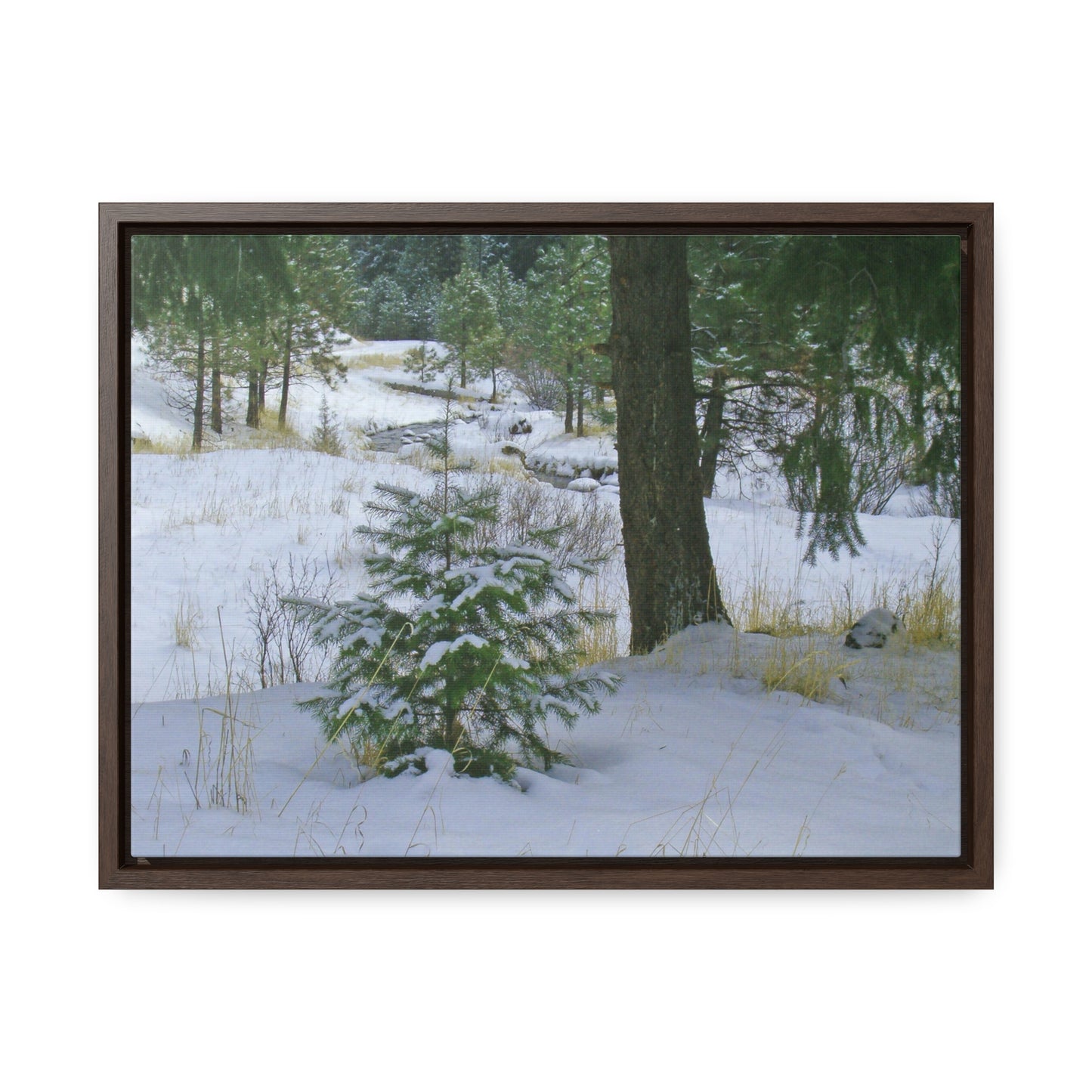 Christmas Tree Creek Gallery Canvas Wraps Framed