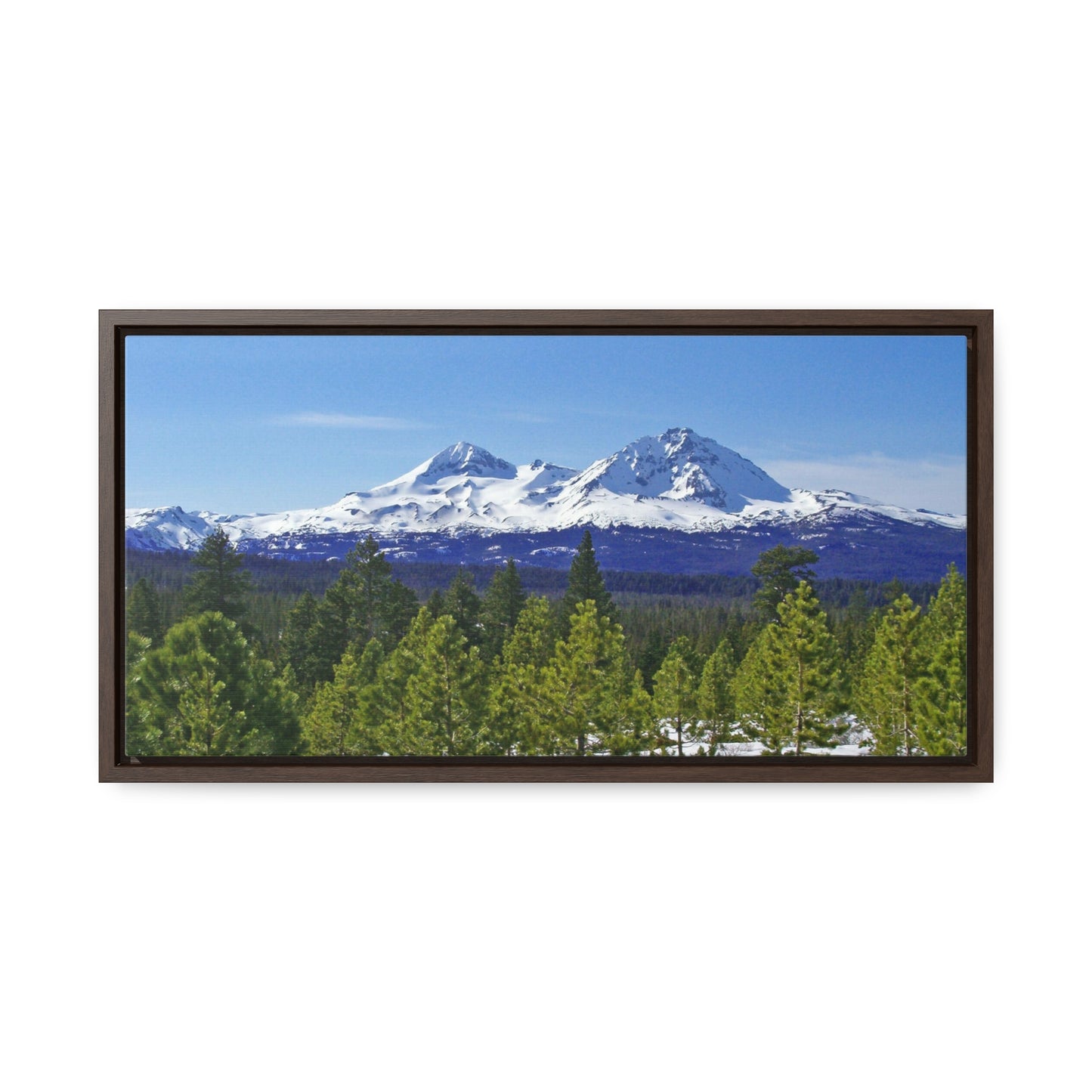 Winter Two Sisters Gallery Canvas Wraps Framed