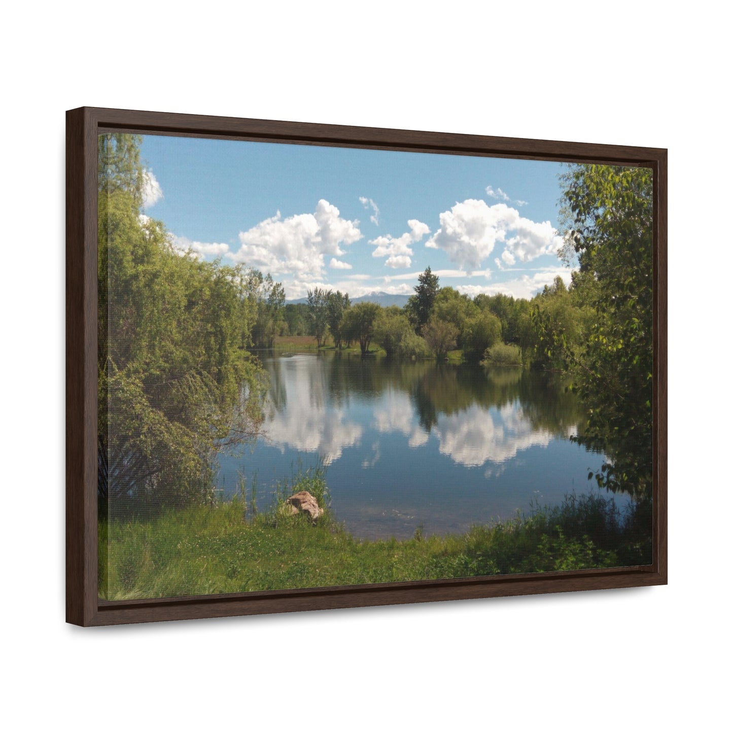 Peaceful Pond Gallery Canvas Wraps Framed