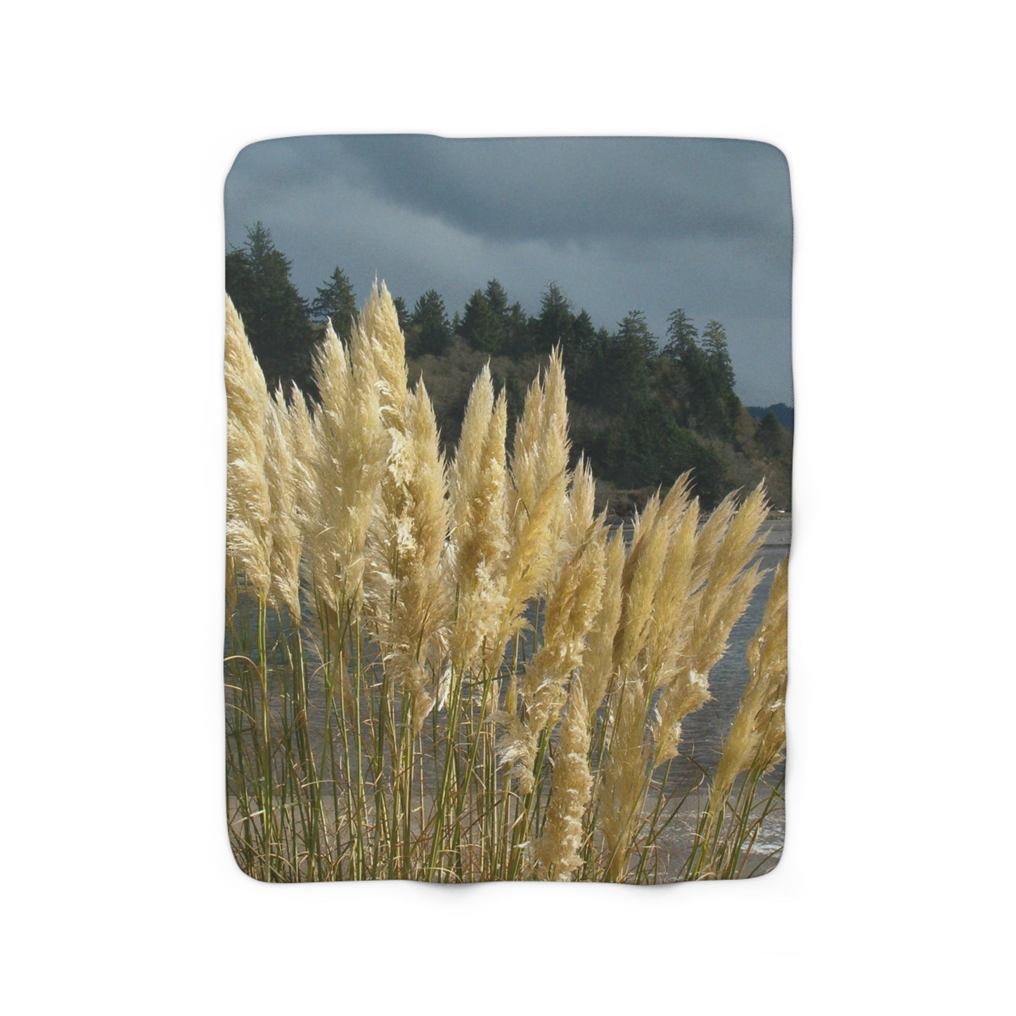 Golden Coastal Pampas Sherpa Fleece Blanket Vertical