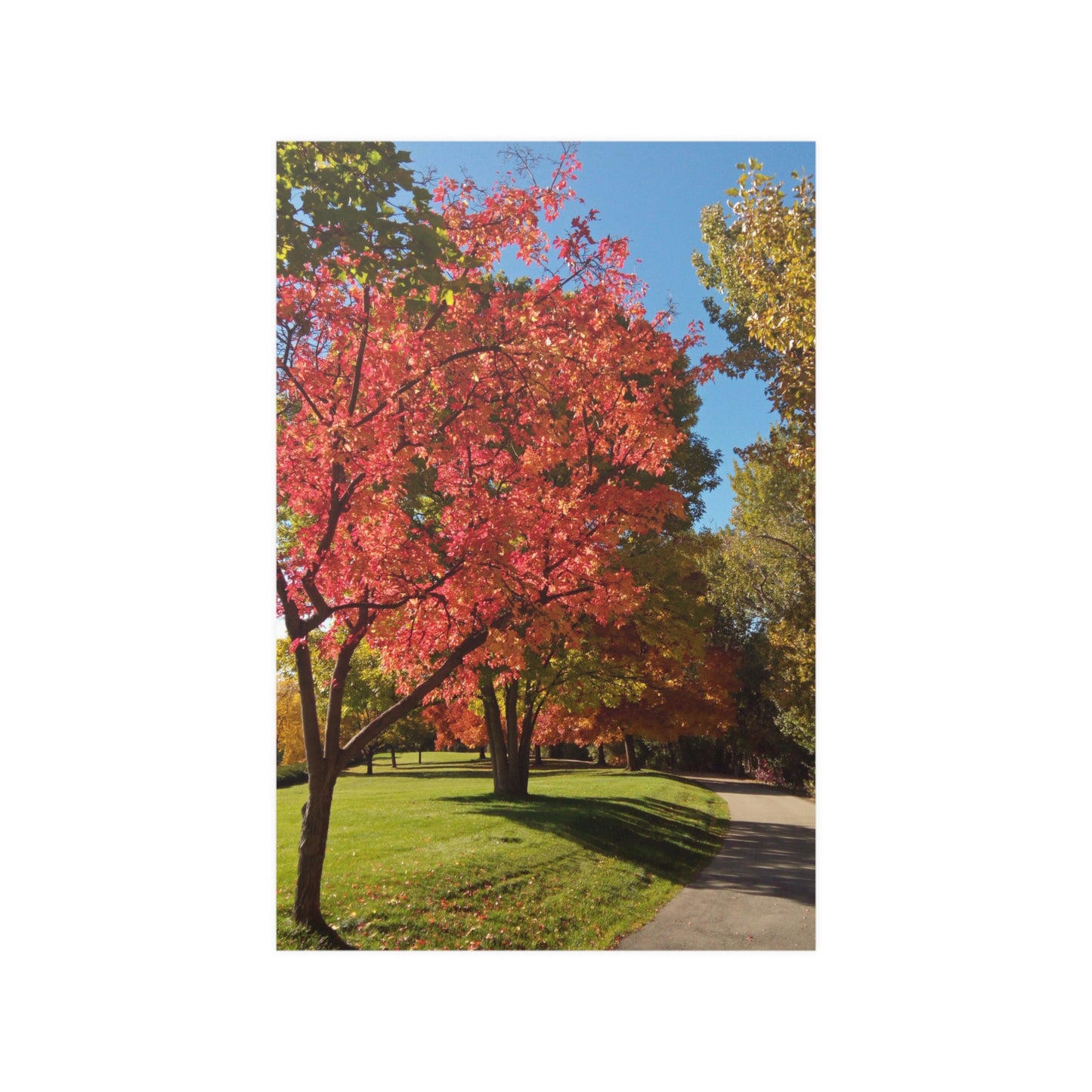 Autumn Glow Satin Posters