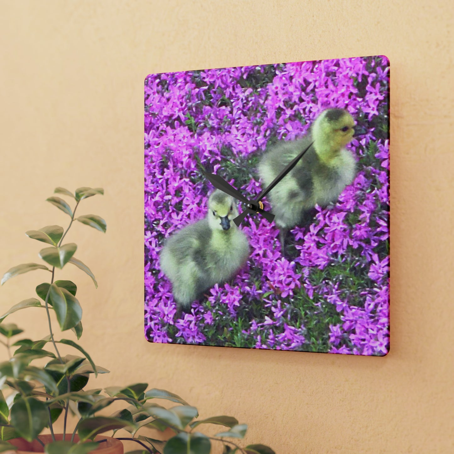 Precious Peeps Acrylic Wall Clock