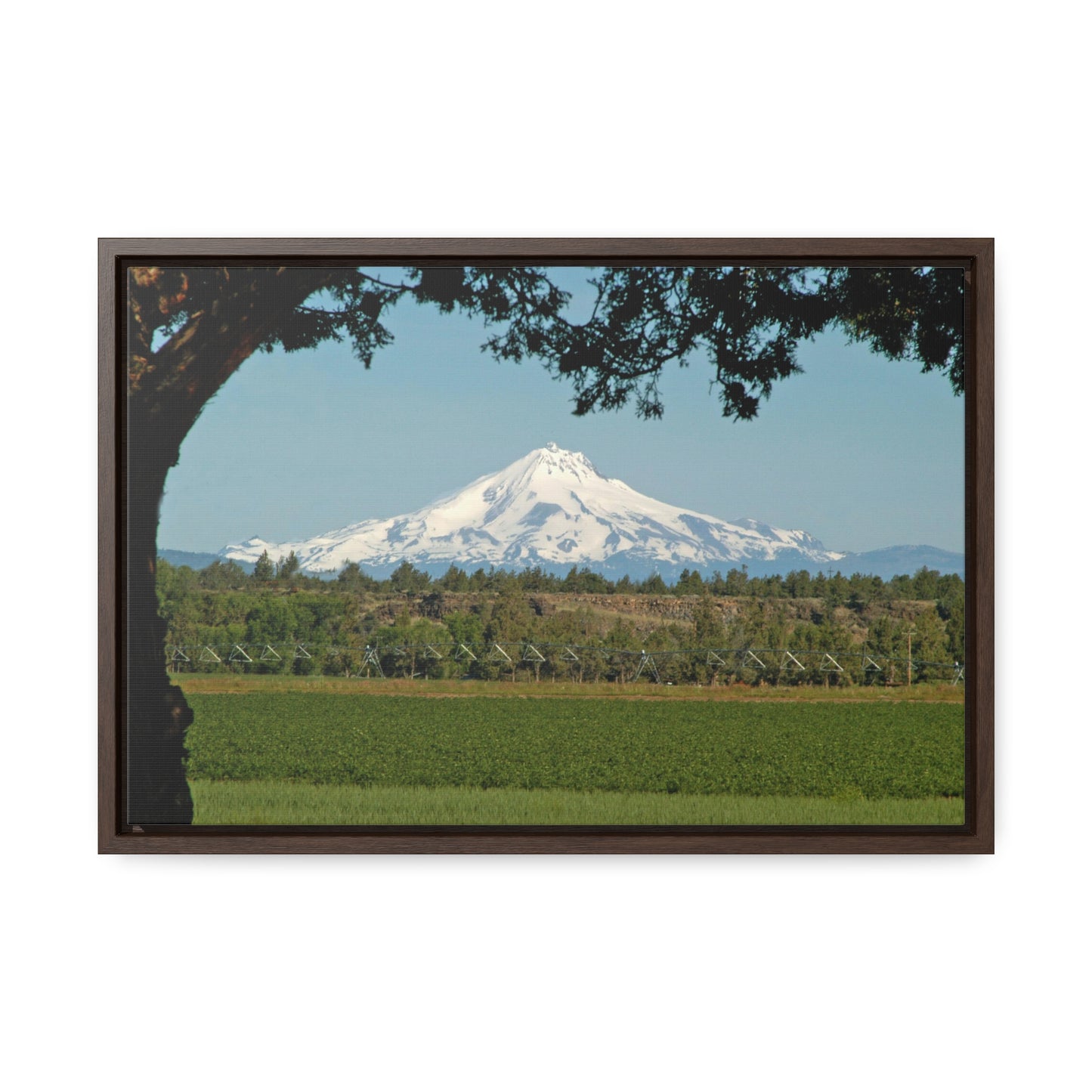 Juniper Framed Mountain Gallery Canvas Wraps Framed