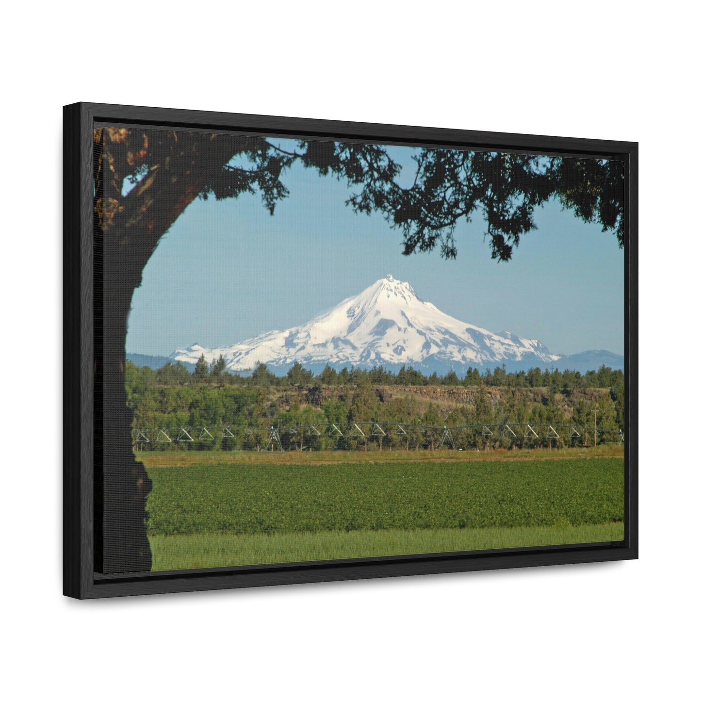 Juniper Framed Mountain Gallery Canvas Wraps Framed