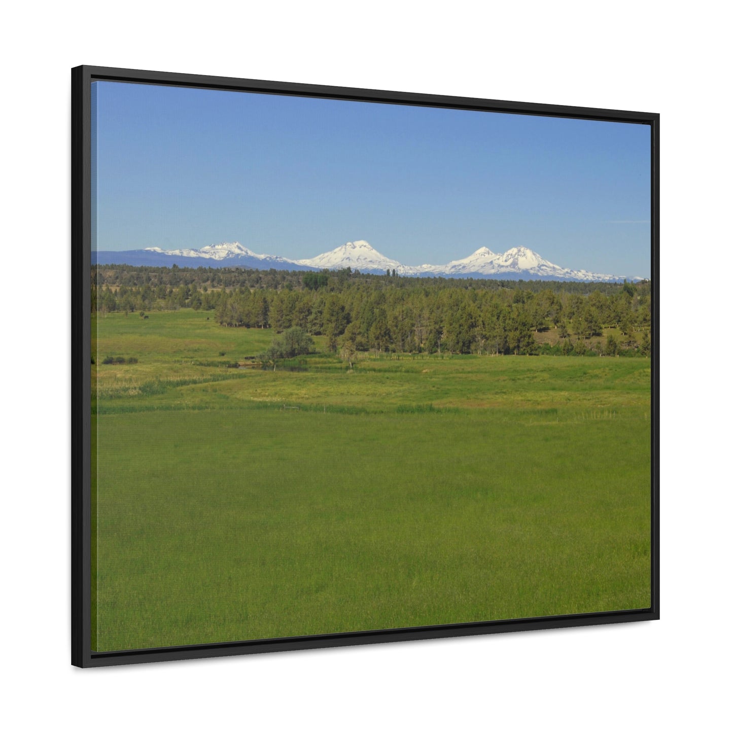 Mountain Meadow Gallery Canvas Wraps Framed