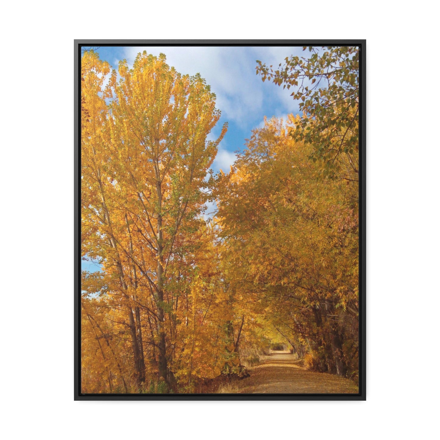Autumn Trail Gallery Canvas Wraps Framed