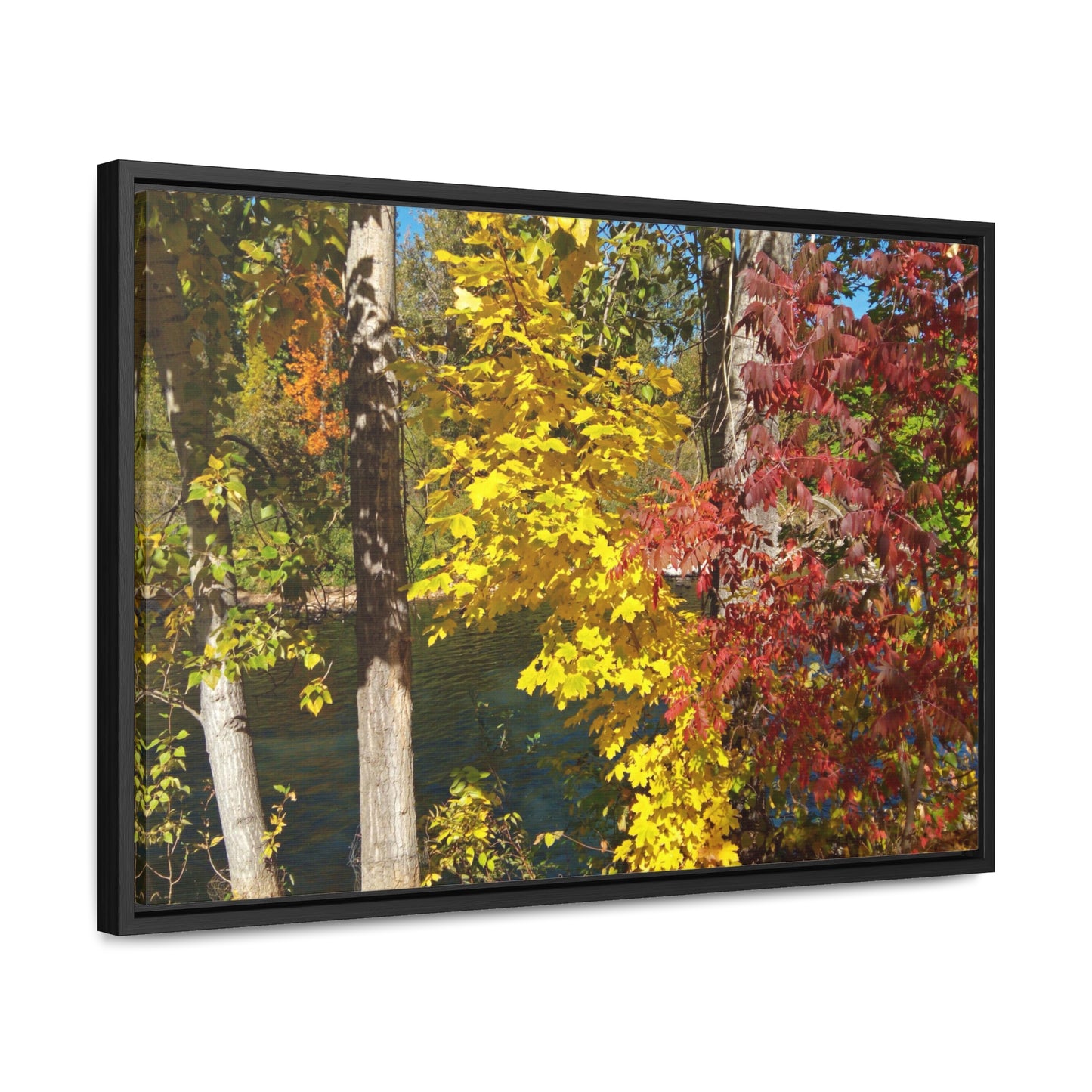 River & Autumn Leaves Gallery Canvas Wraps Framed